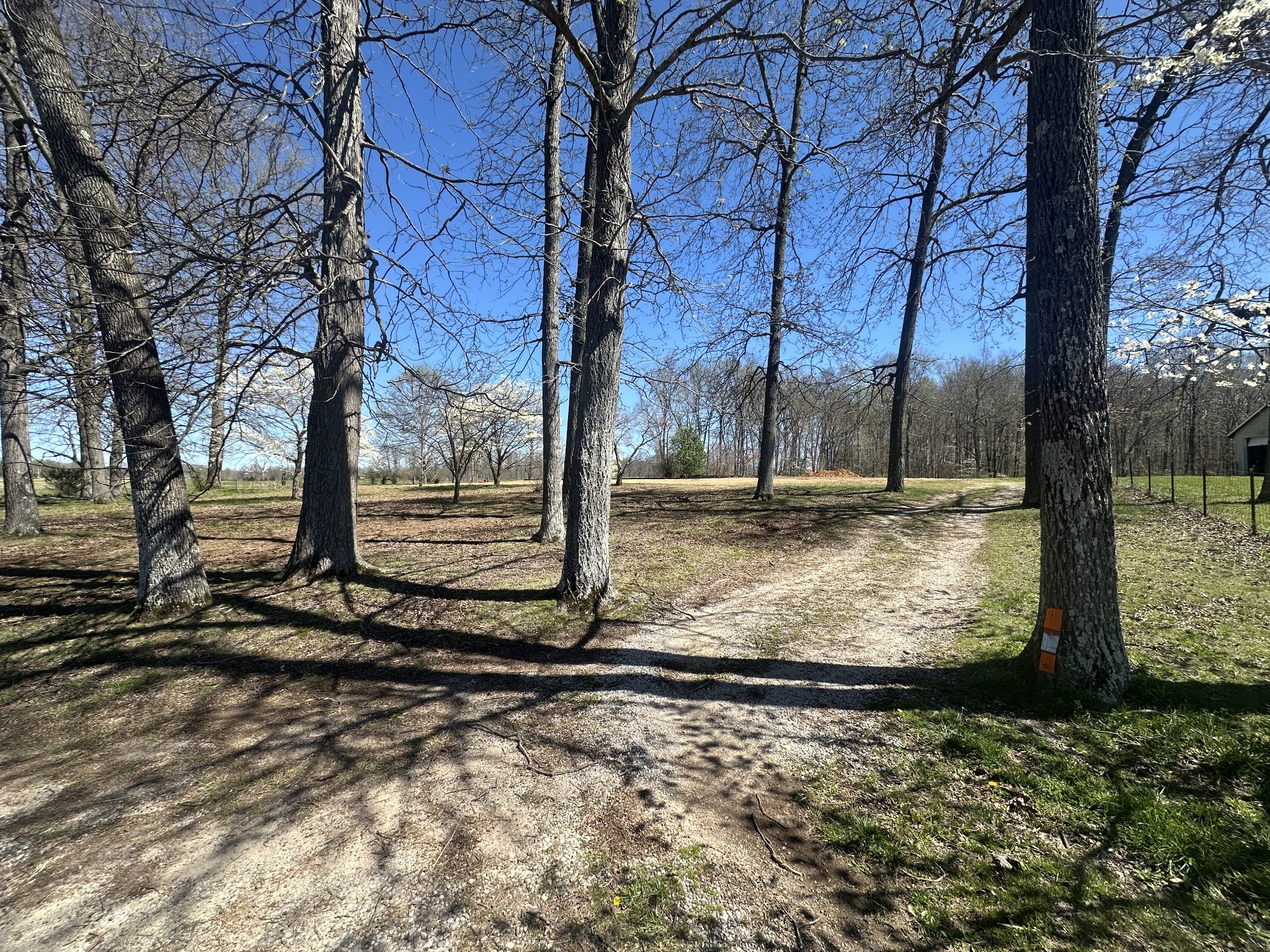 5149 Arnold Thomas Road Silver Point, TN 38582 - Photo 8 of 21