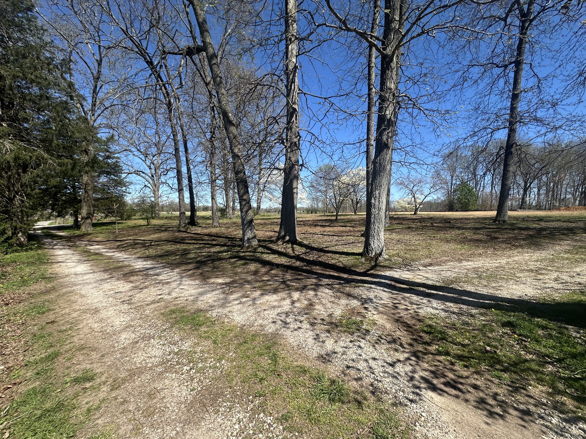 5149 Arnold Thomas Road Silver Point, TN 38582 - Photo 9 of 21