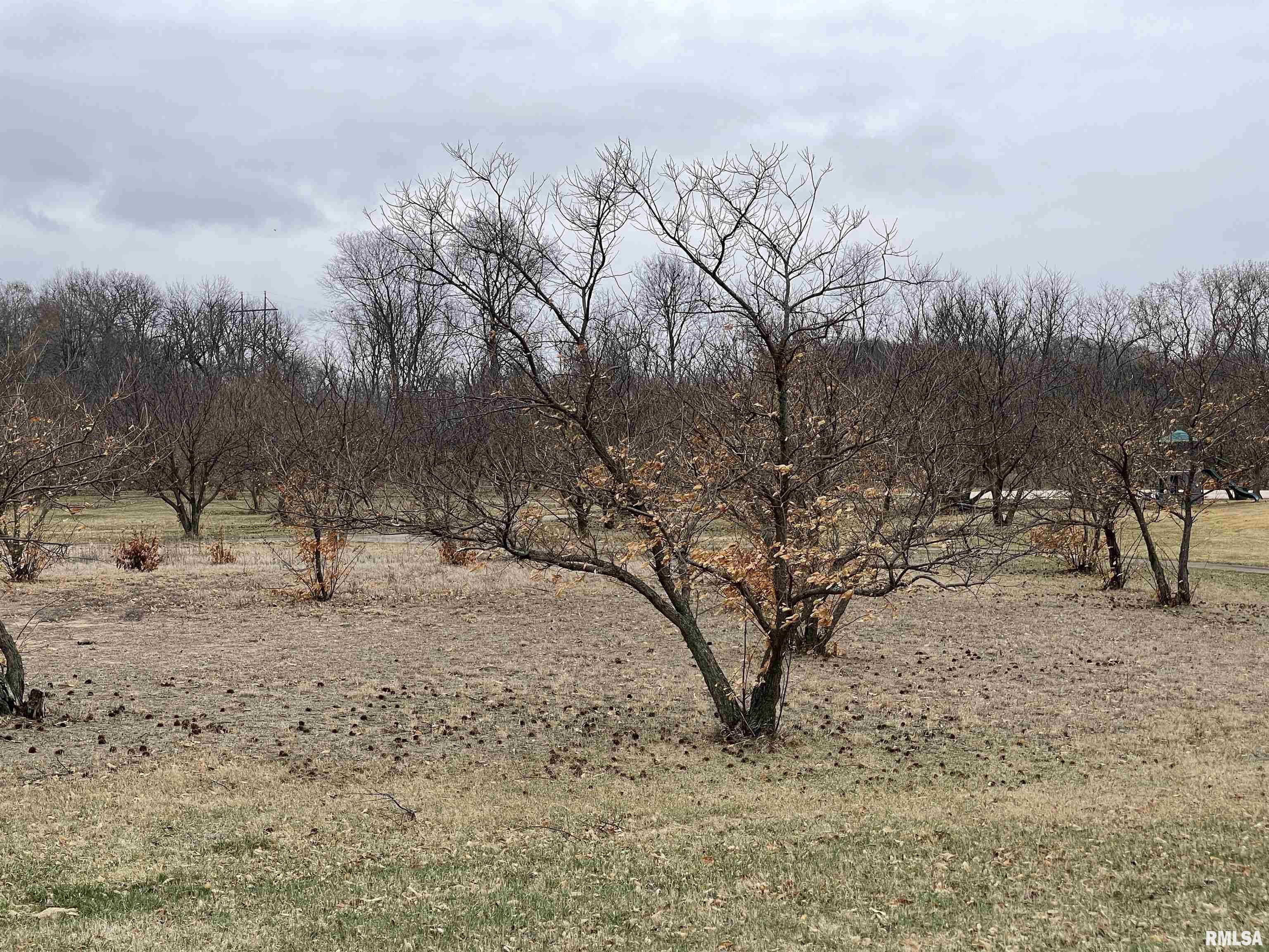 27 Hunter's Ridge Road Fulton, IL 61252 - Photo 3 of 10