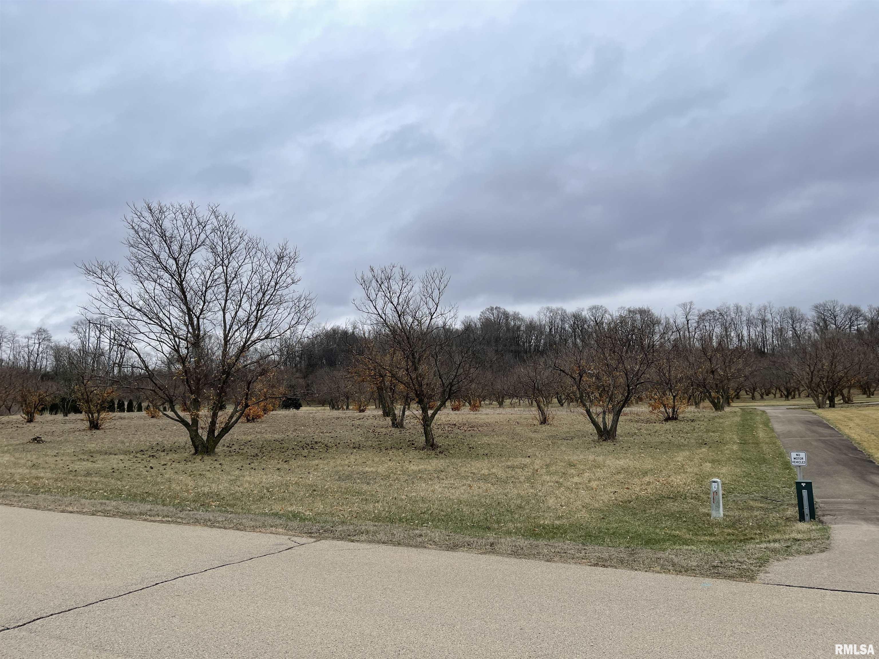 27 Hunter's Ridge Road Fulton, IL 61252 - Photo 4 of 10
