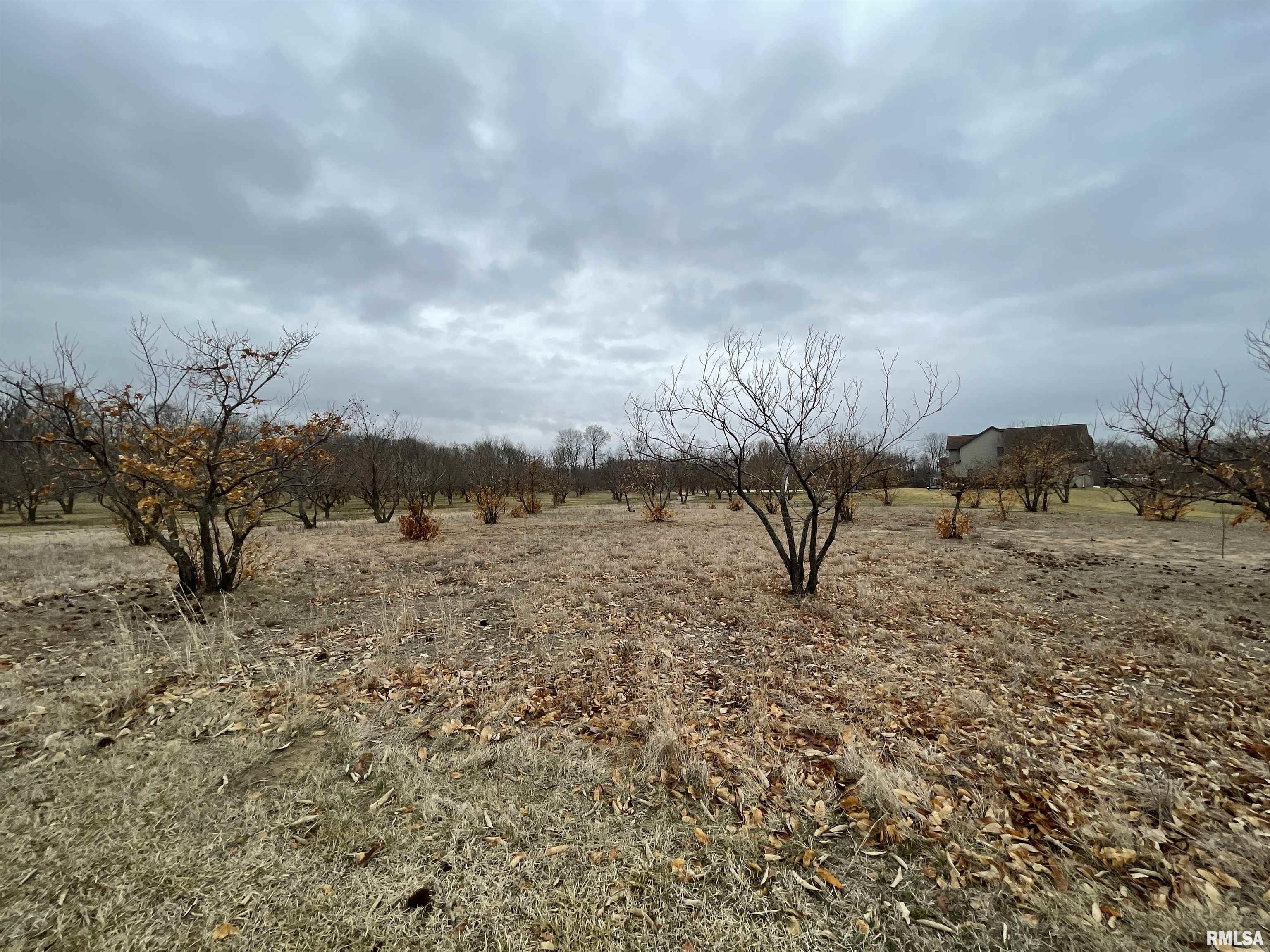 27 Hunter's Ridge Road Fulton, IL 61252 - Photo 8 of 10
