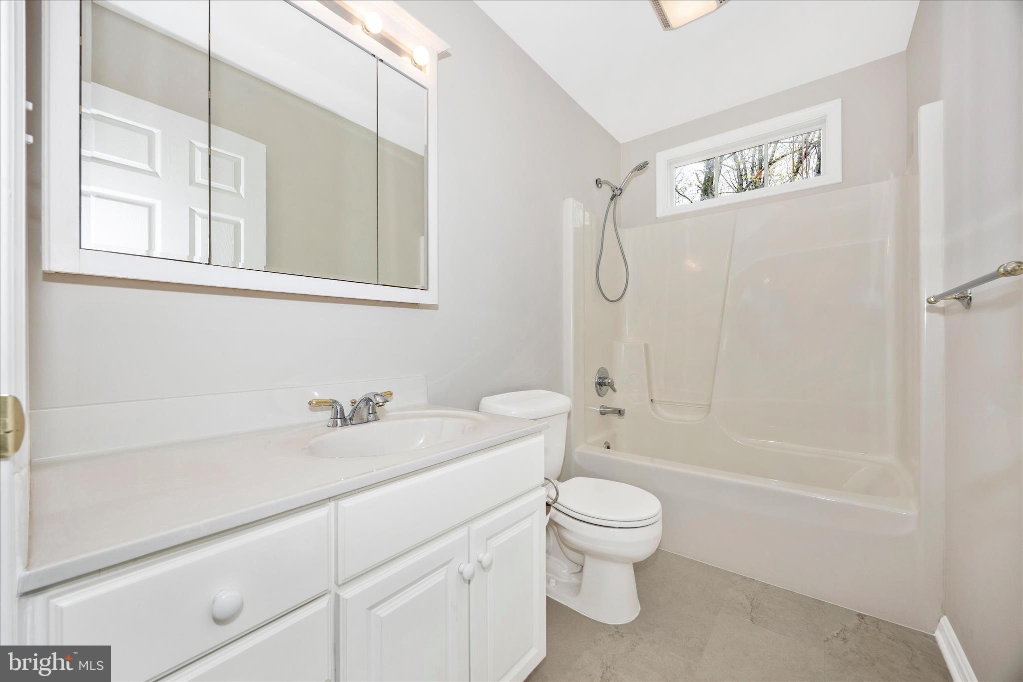10393 Liberty Road Frederick, MD 21701 - Photo 11 of 47 a bathroom with a sink a toilet and a large mirror