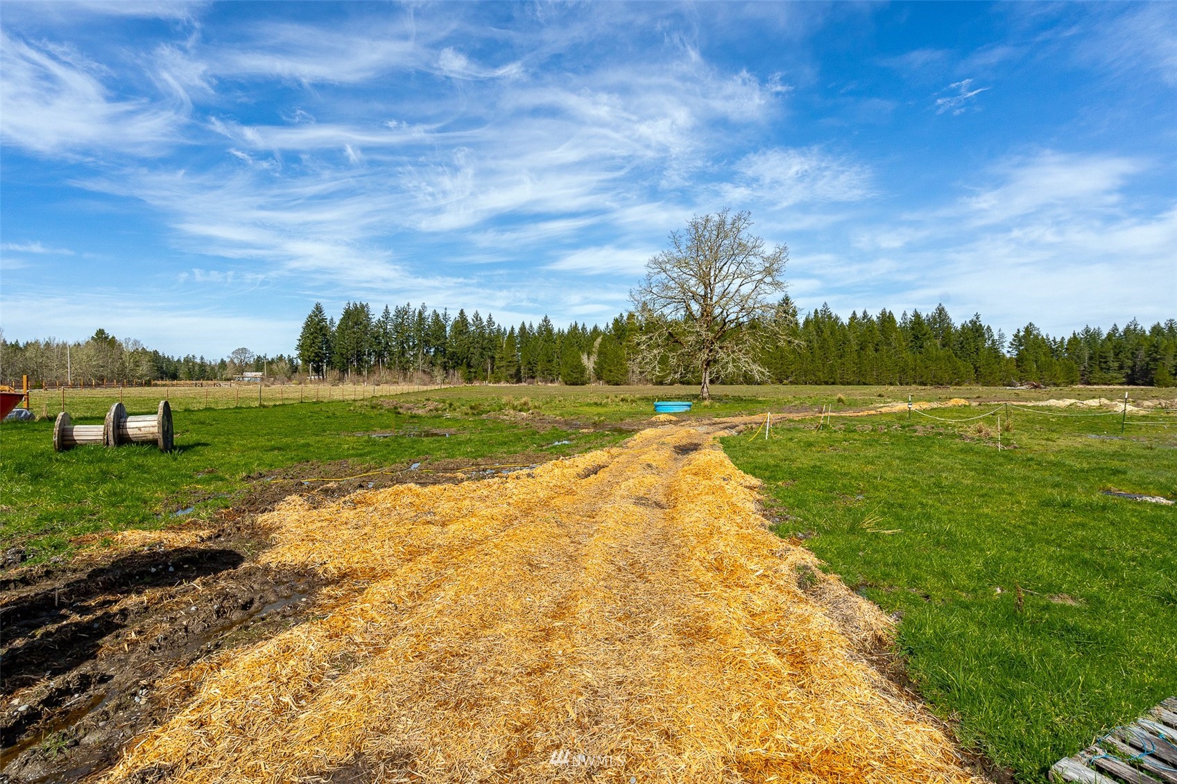 254 Boone Road Toledo, WA 98591 - Photo 17 of 38 a view of a golf course