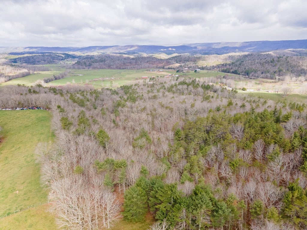 2804 Price Ridge Road Bland, VA 24315 - Photo 49 of 63 Gallery Image 49