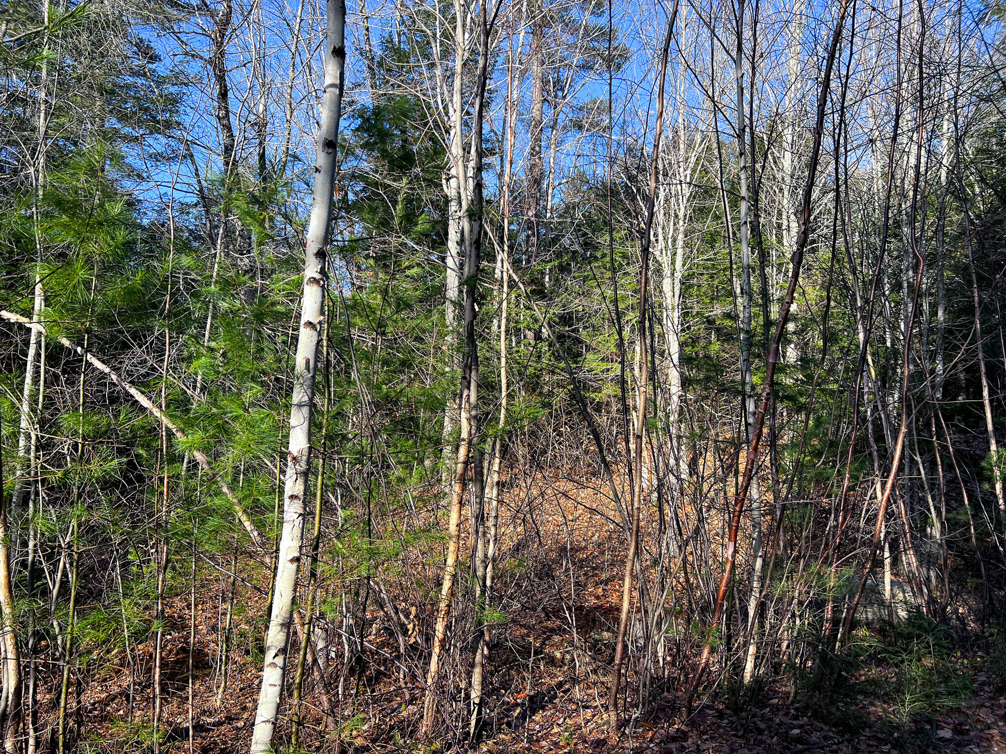 1 Flat Ground Road Acton, ME 04001 - Photo 13 of 34 IMG_2344