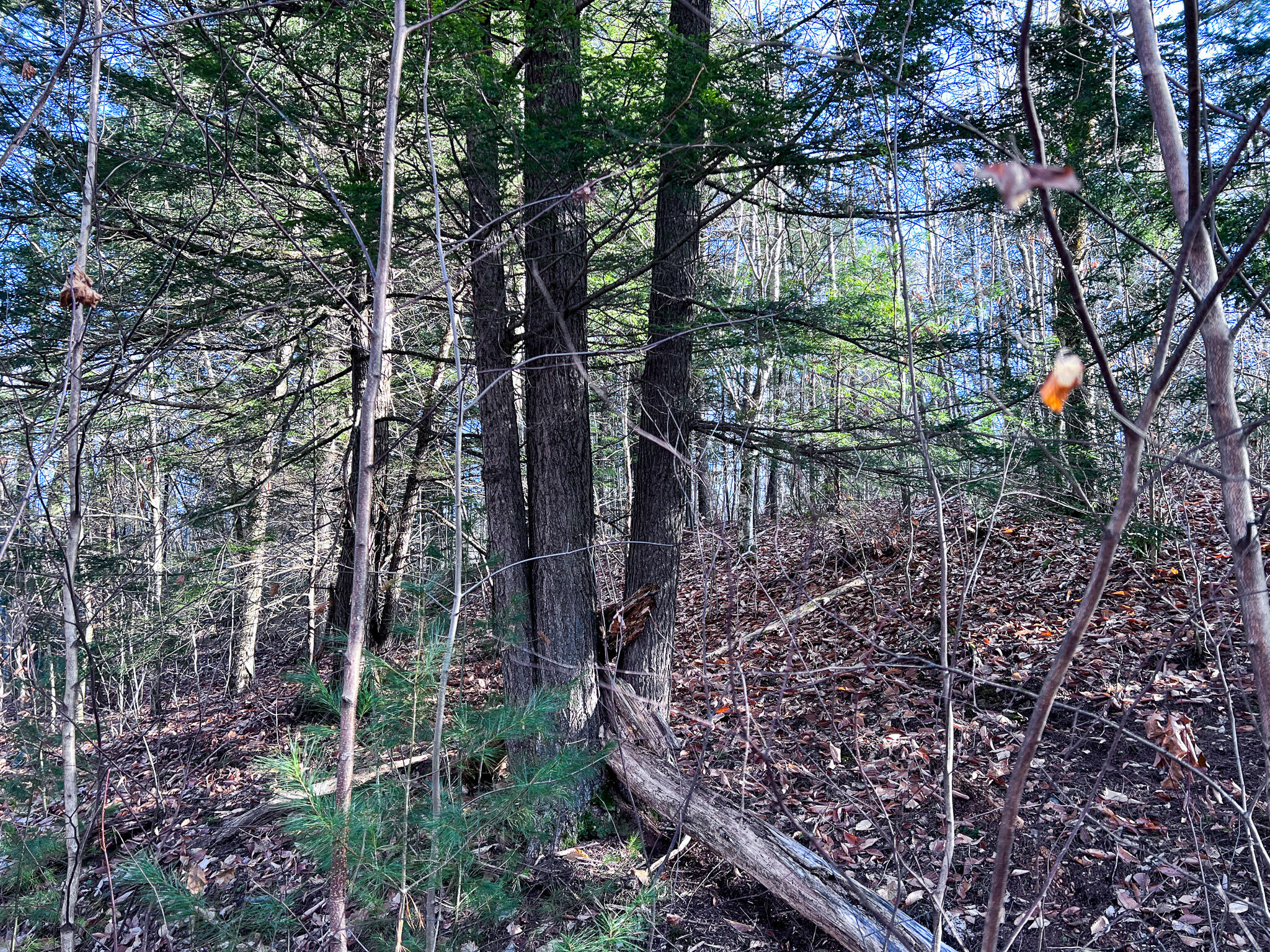 1 Flat Ground Road Acton, ME 04001 - Photo 14 of 34 IMG_2345