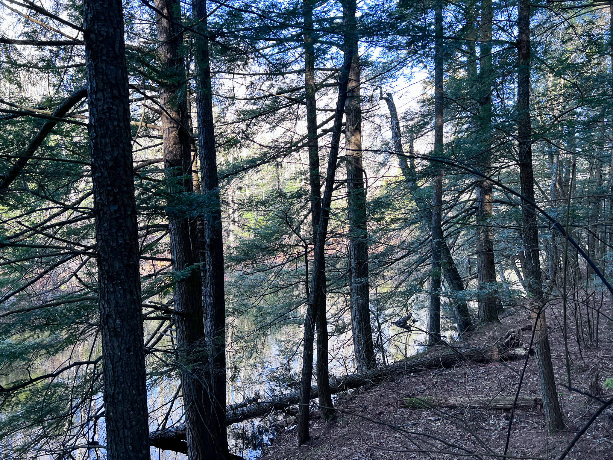 1 Flat Ground Road Acton, ME 04001 - Photo 16 of 34 IMG_2347