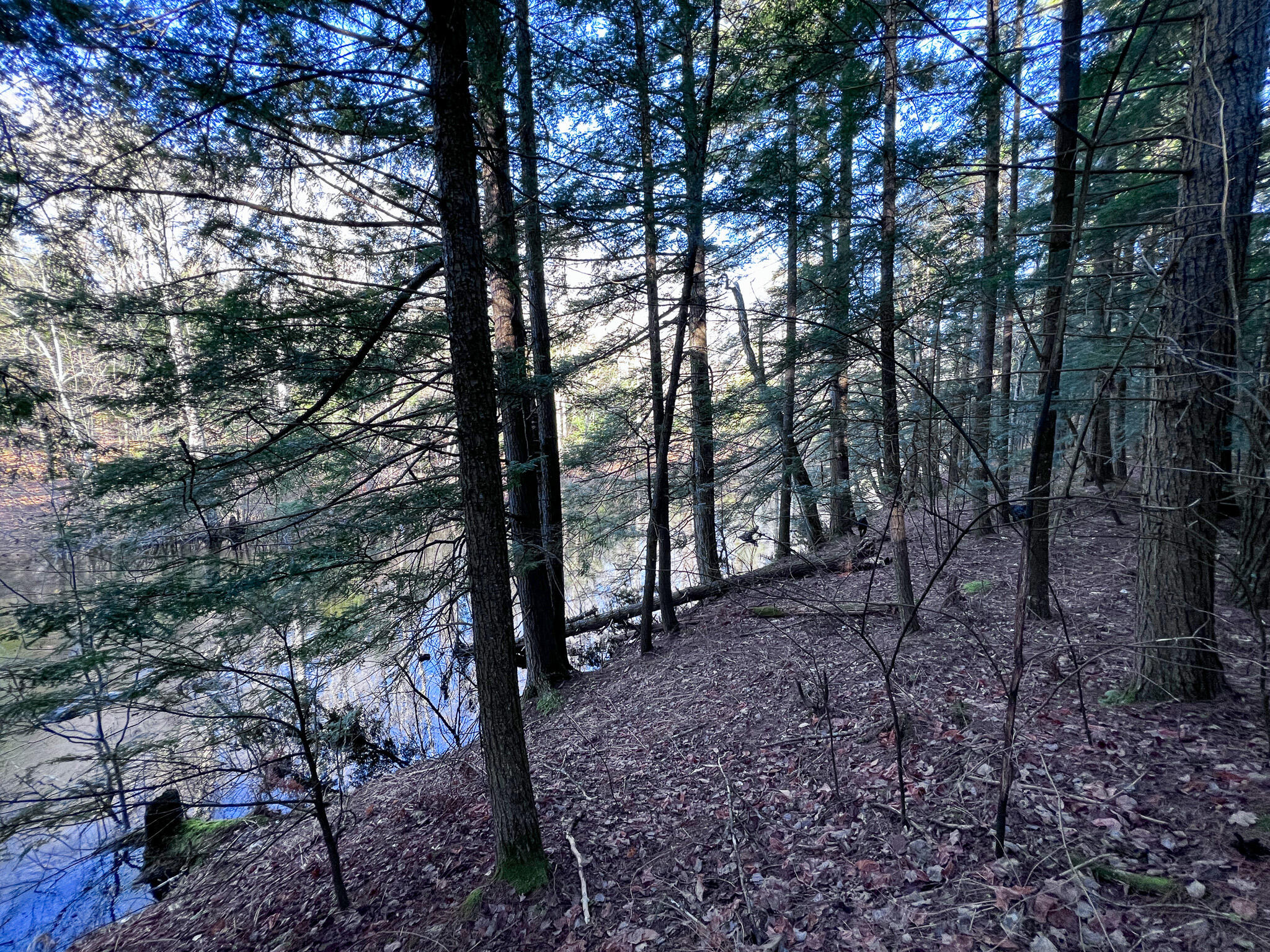 1 Flat Ground Road Acton, ME 04001 - Photo 18 of 34 IMG_2349