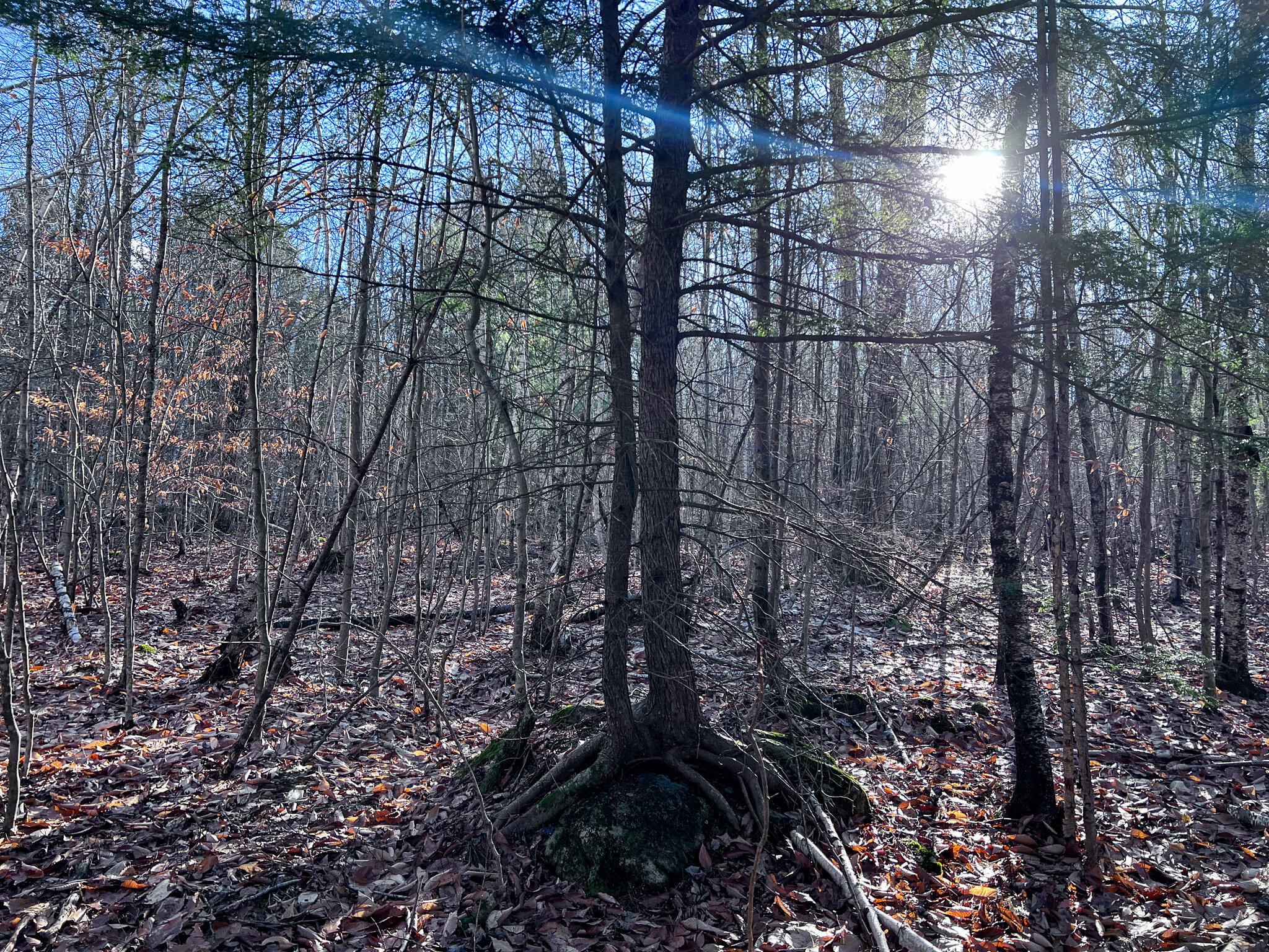 1 Flat Ground Road Acton, ME 04001 - Photo 19 of 34 IMG_2350