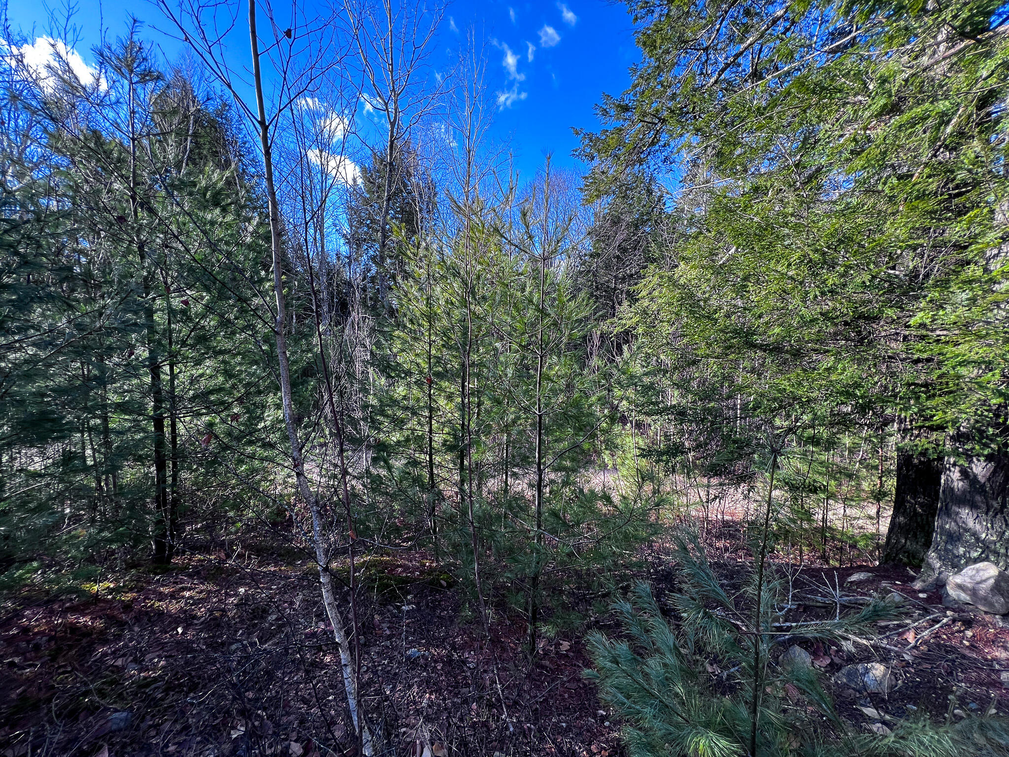 1 Flat Ground Road Acton, ME 04001 - Photo 21 of 34 IMG_2352