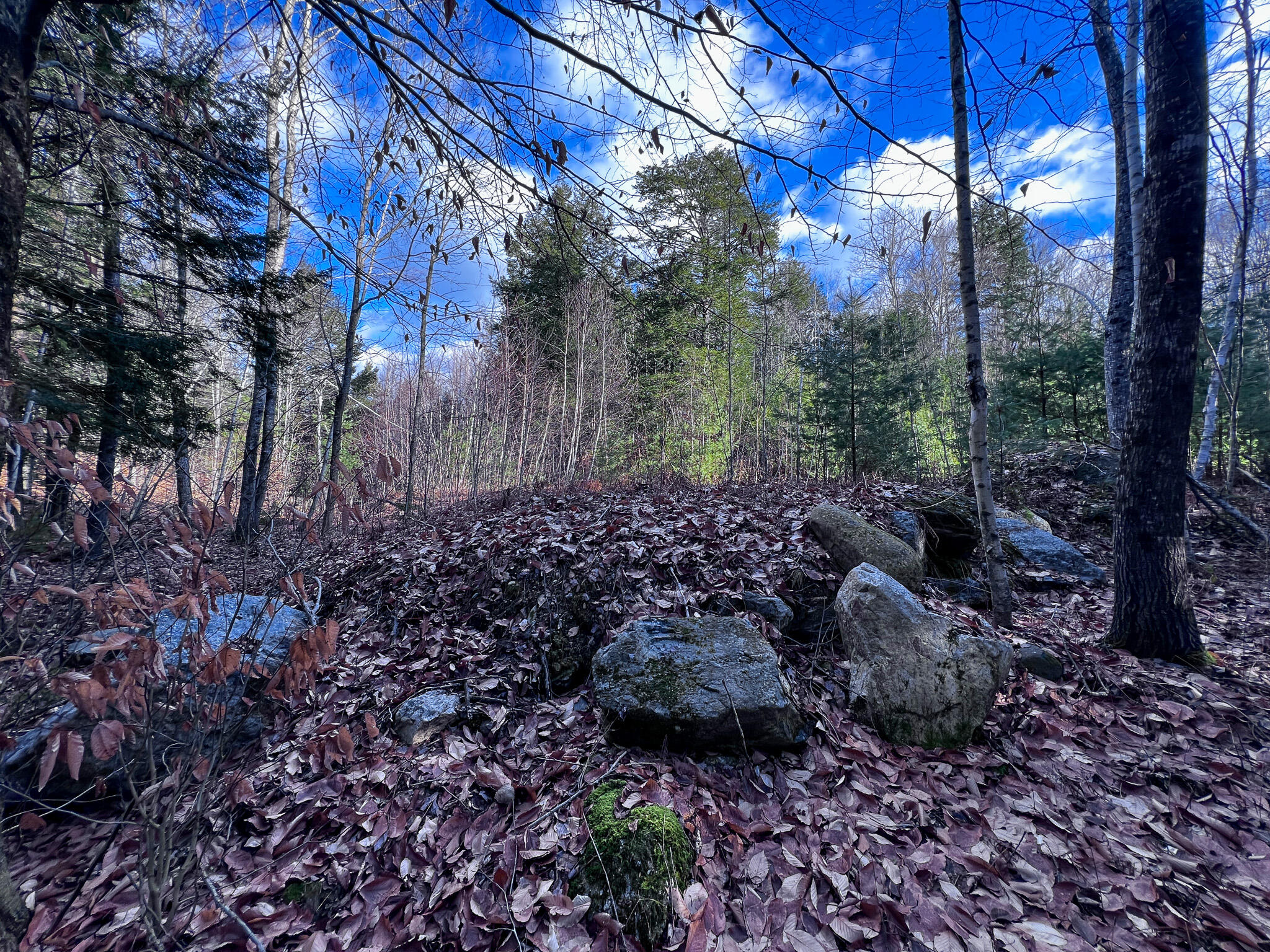 1 Flat Ground Road Acton, ME 04001 - Photo 22 of 34 IMG_2353