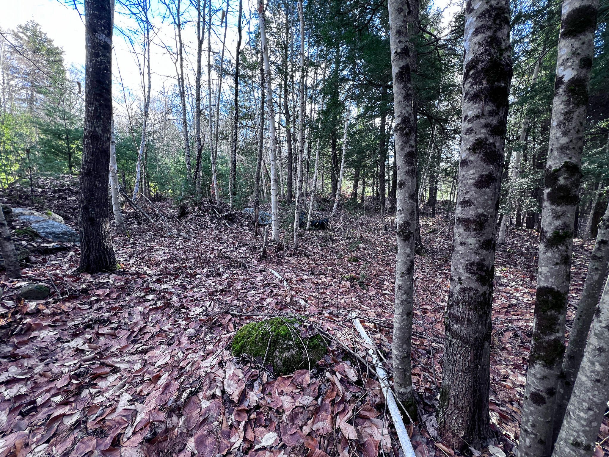 1 Flat Ground Road Acton, ME 04001 - Photo 23 of 34 IMG_2354