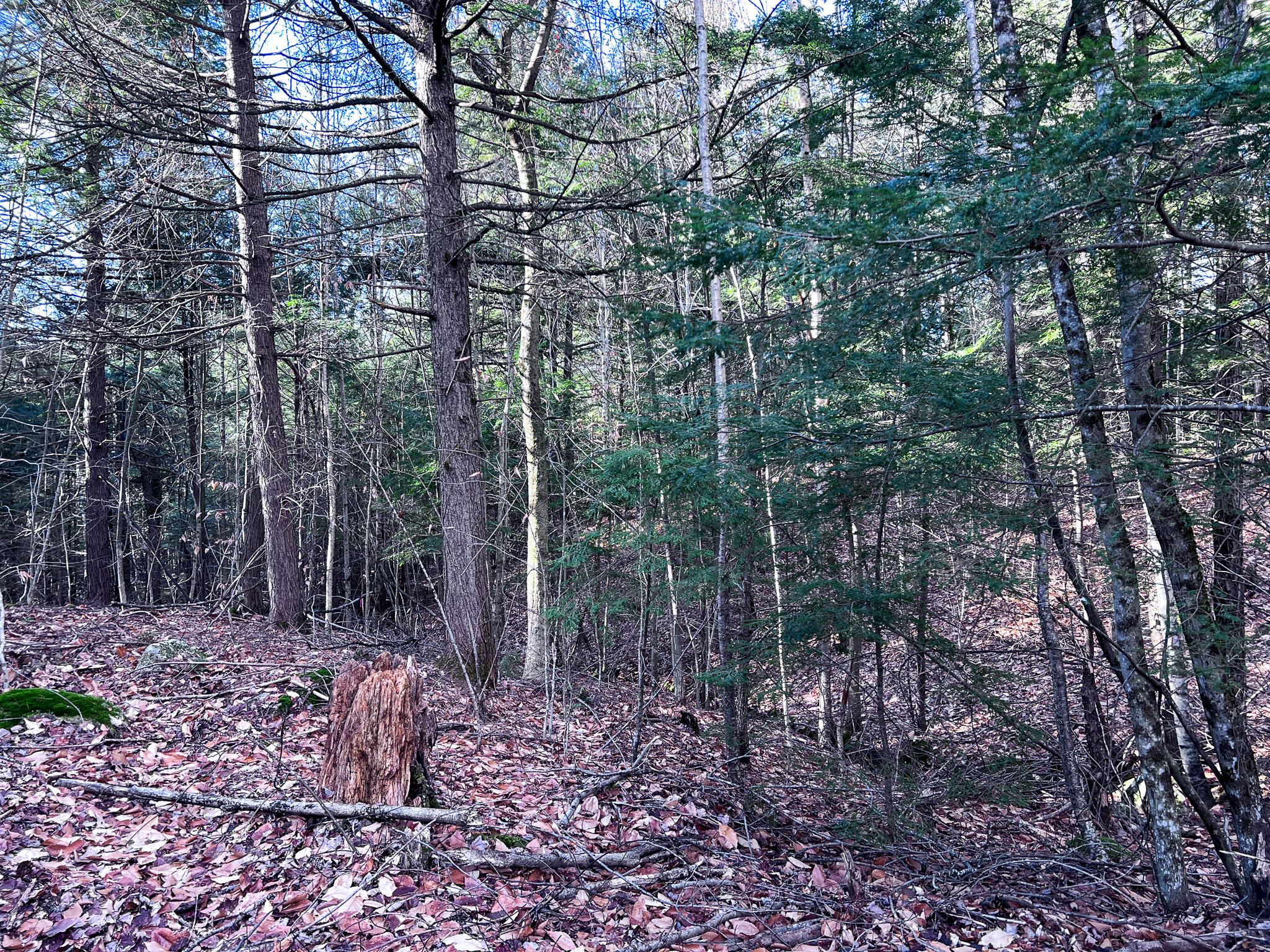 1 Flat Ground Road Acton, ME 04001 - Photo 25 of 34 IMG_2356