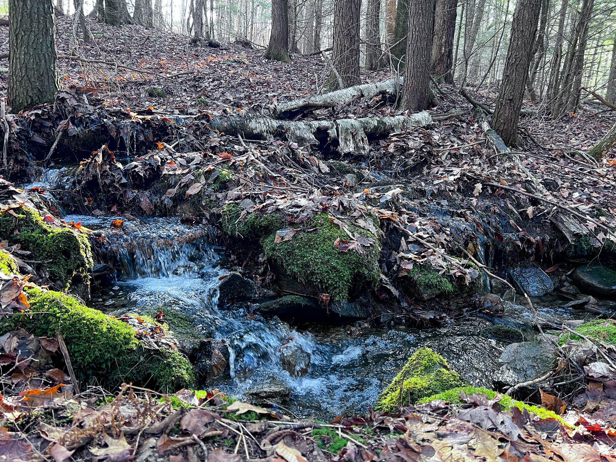 1 Flat Ground Road Acton, ME 04001 - Photo 26 of 34 IMG_2357