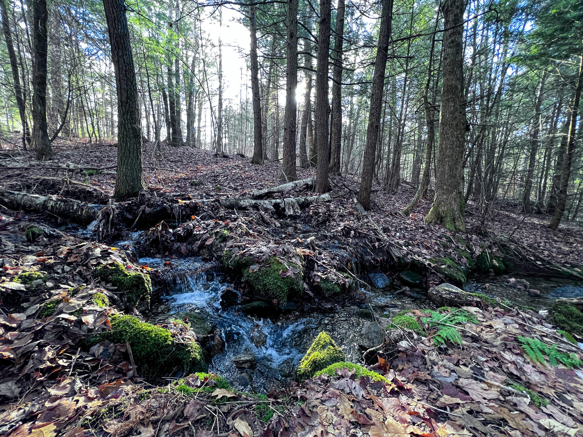 1 Flat Ground Road Acton, ME 04001 - Photo 27 of 34 IMG_2358