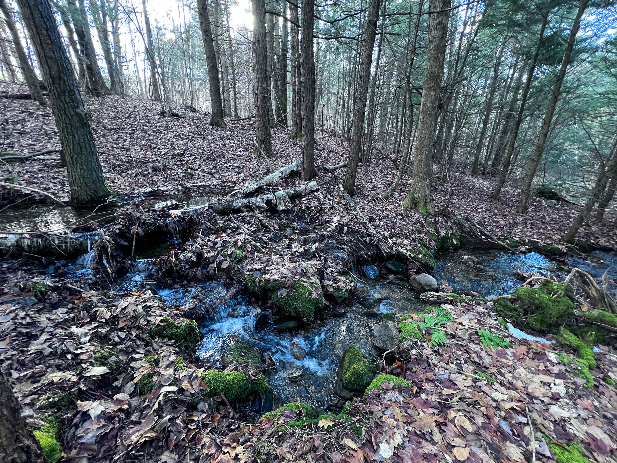 1 Flat Ground Road Acton, ME 04001 - Photo 28 of 34 IMG_2359