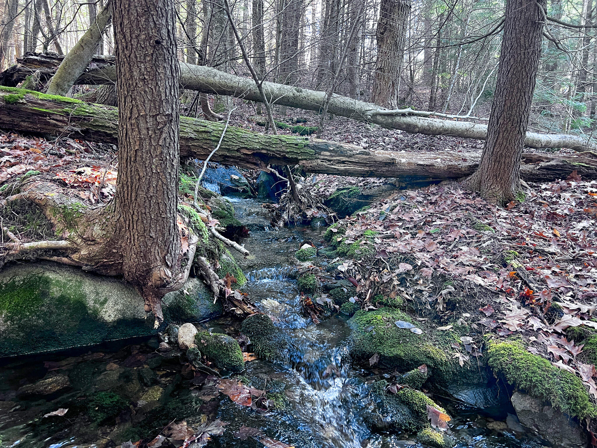 1 Flat Ground Road Acton, ME 04001 - Photo 29 of 34 IMG_2360