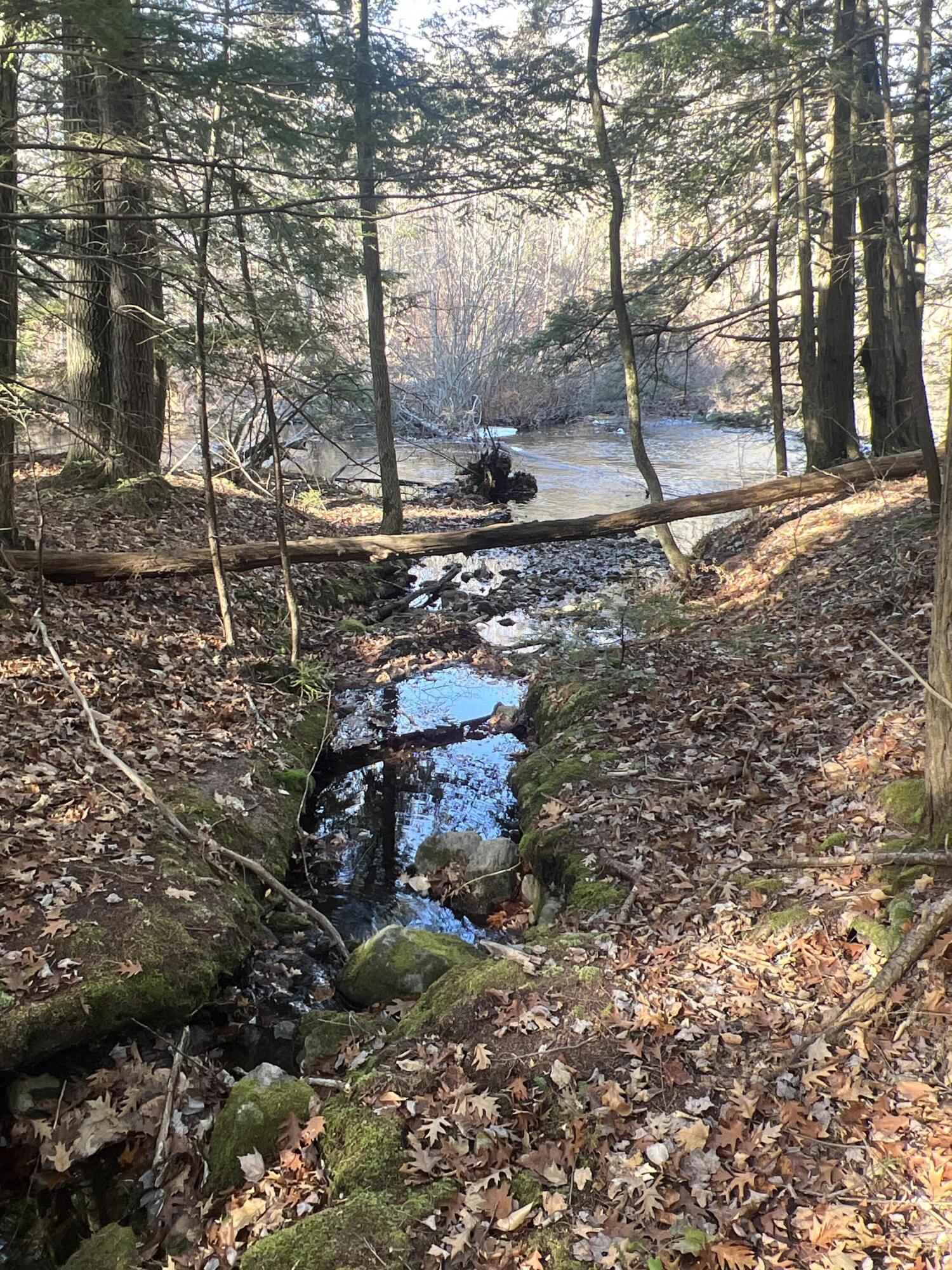 1 Flat Ground Road Acton, ME 04001 - Photo 30 of 34 IMG_7055