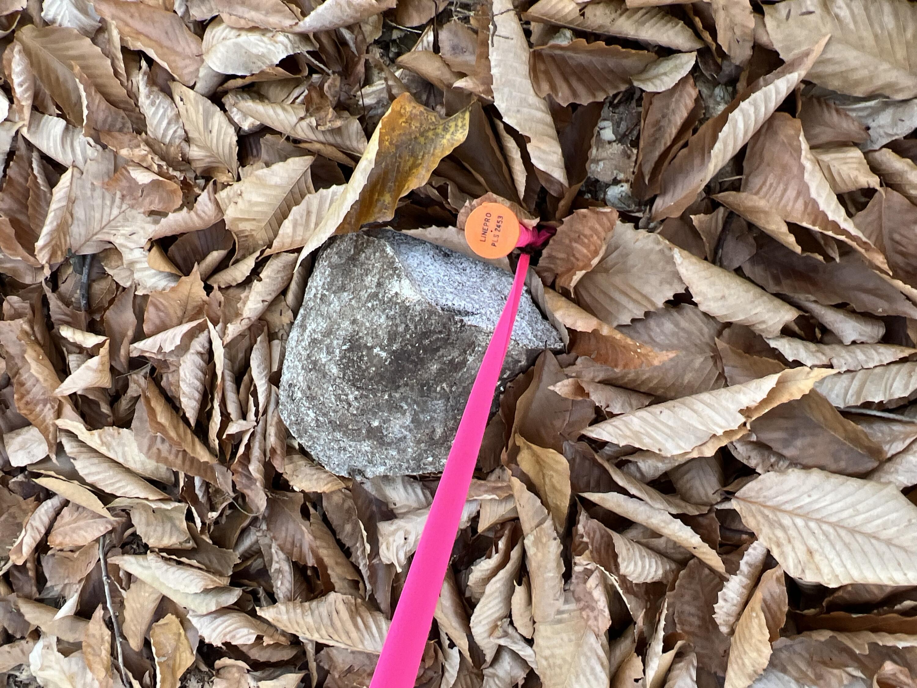 1 Flat Ground Road Acton, ME 04001 - Photo 31 of 34 IMG_7057