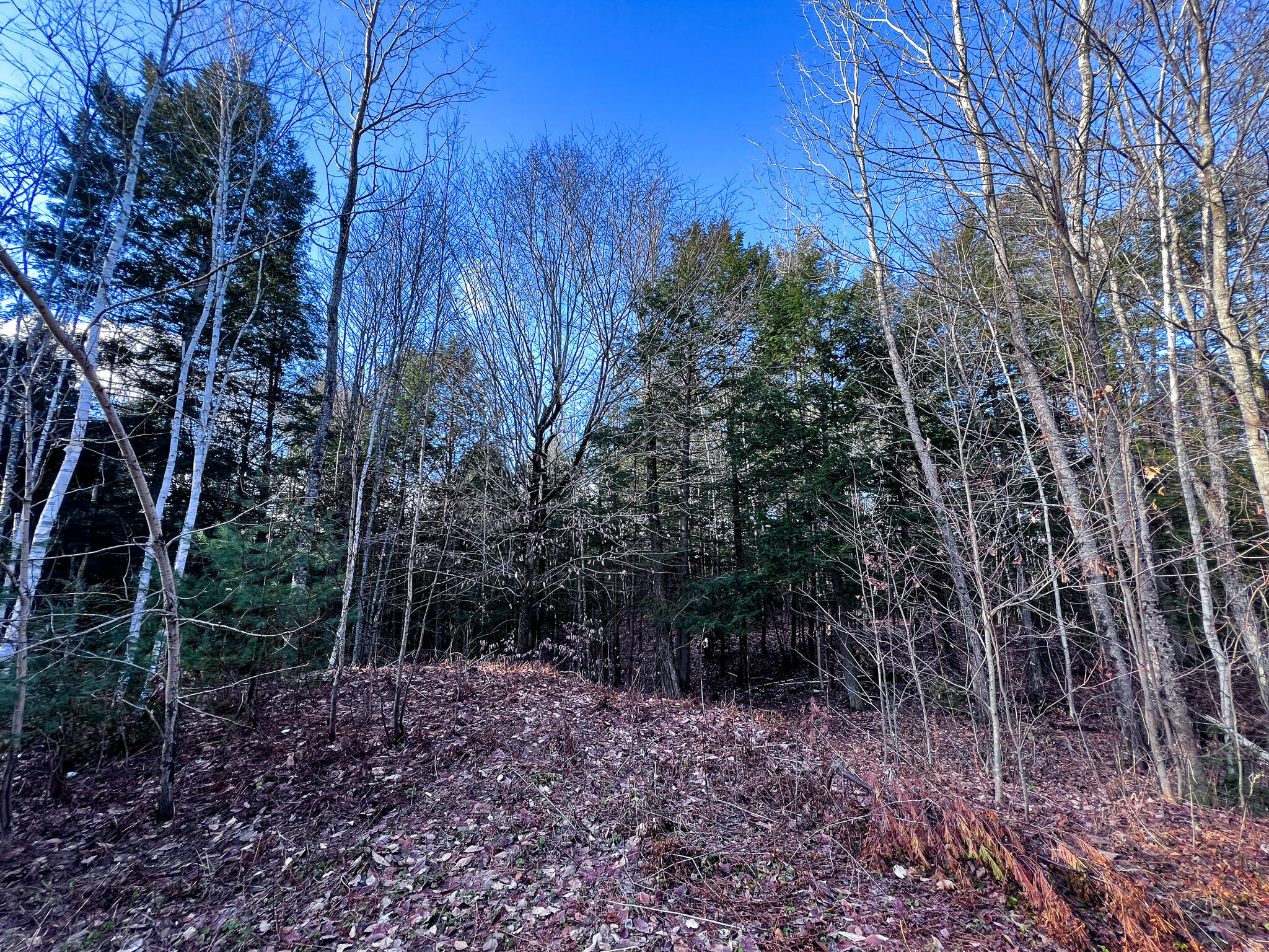 1 Flat Ground Road Acton, ME 04001 - Photo 9 of 34 IMG_2340