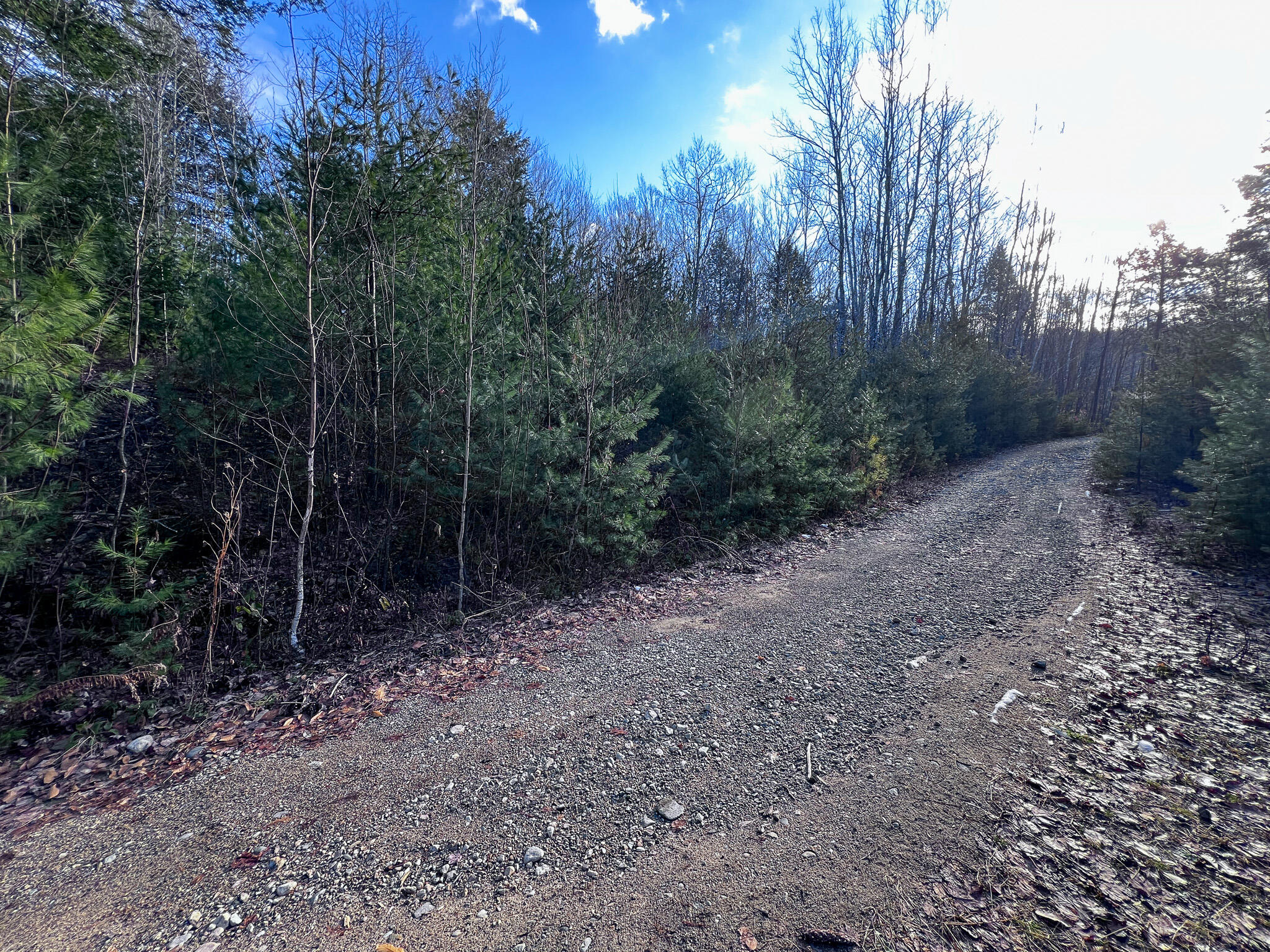 1 Flat Ground Road Acton, ME 04001 - Photo 10 of 34 IMG_2341