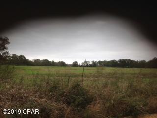 0 Orchard Road Graceville, FL 32440 - Photo 7 of 7 Gallery Image 7