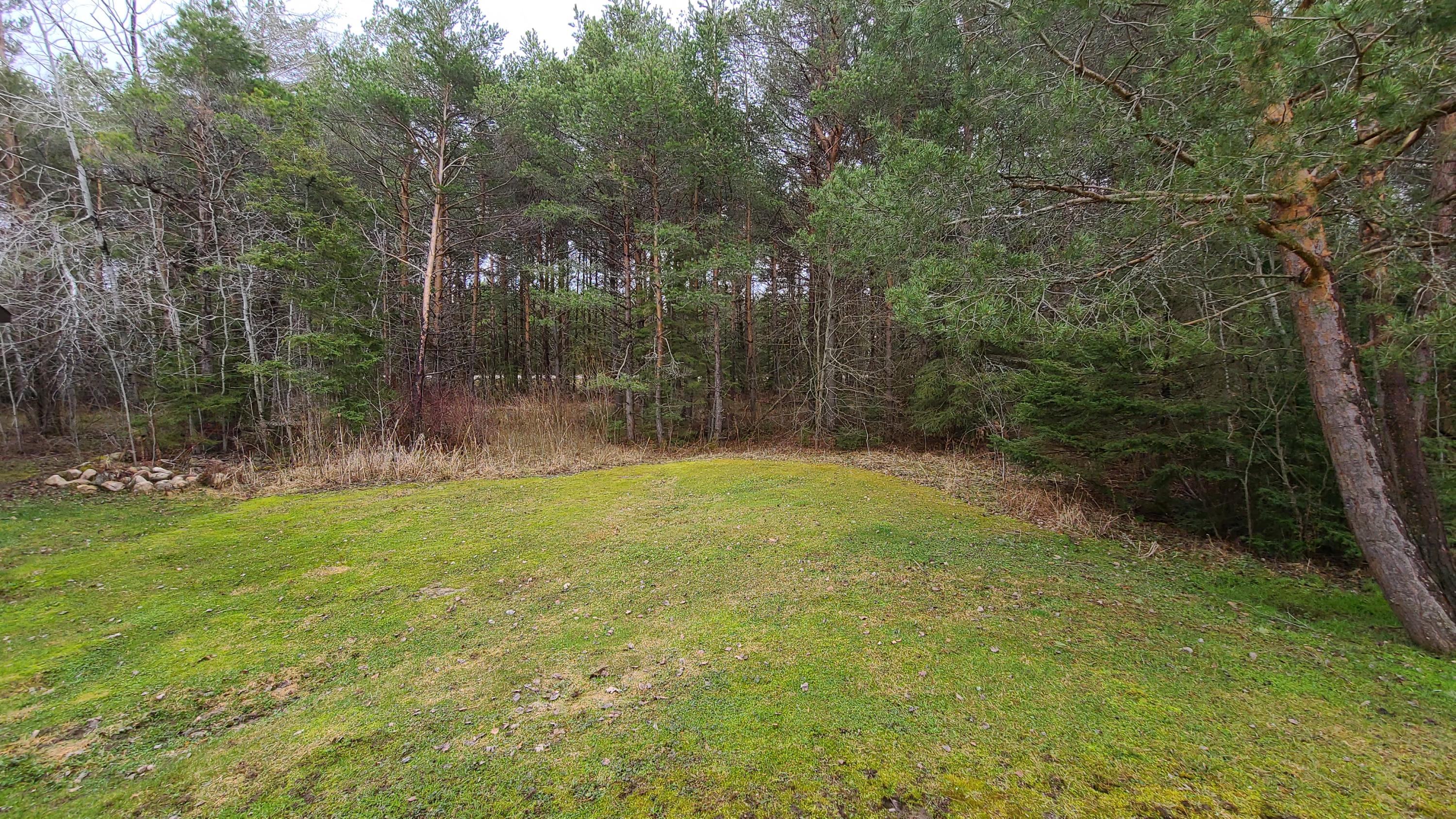 2375 West 10 Mile Road Dafter, MI 49724 - Photo 26 of 42 Gallery Image 26