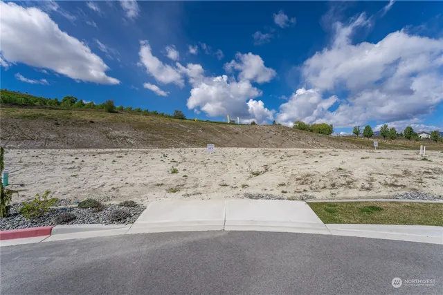 a view of a yard with an ocean beach