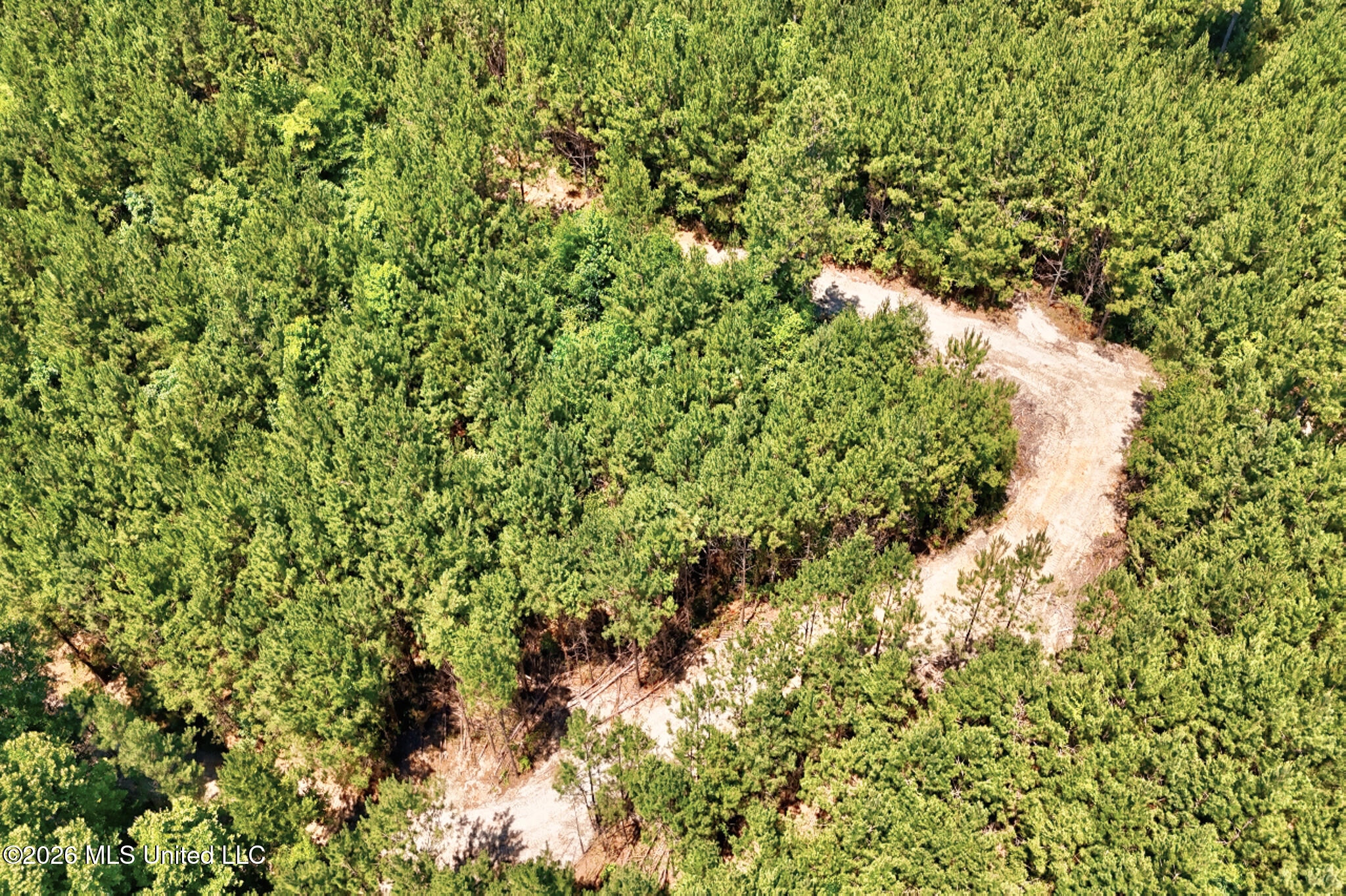 Northwest Ben Briggs Road Northwest Roxie, MS 39661 - Photo 8 of 17 DJI_20260610115751_0049_D_50_D_51_D-2