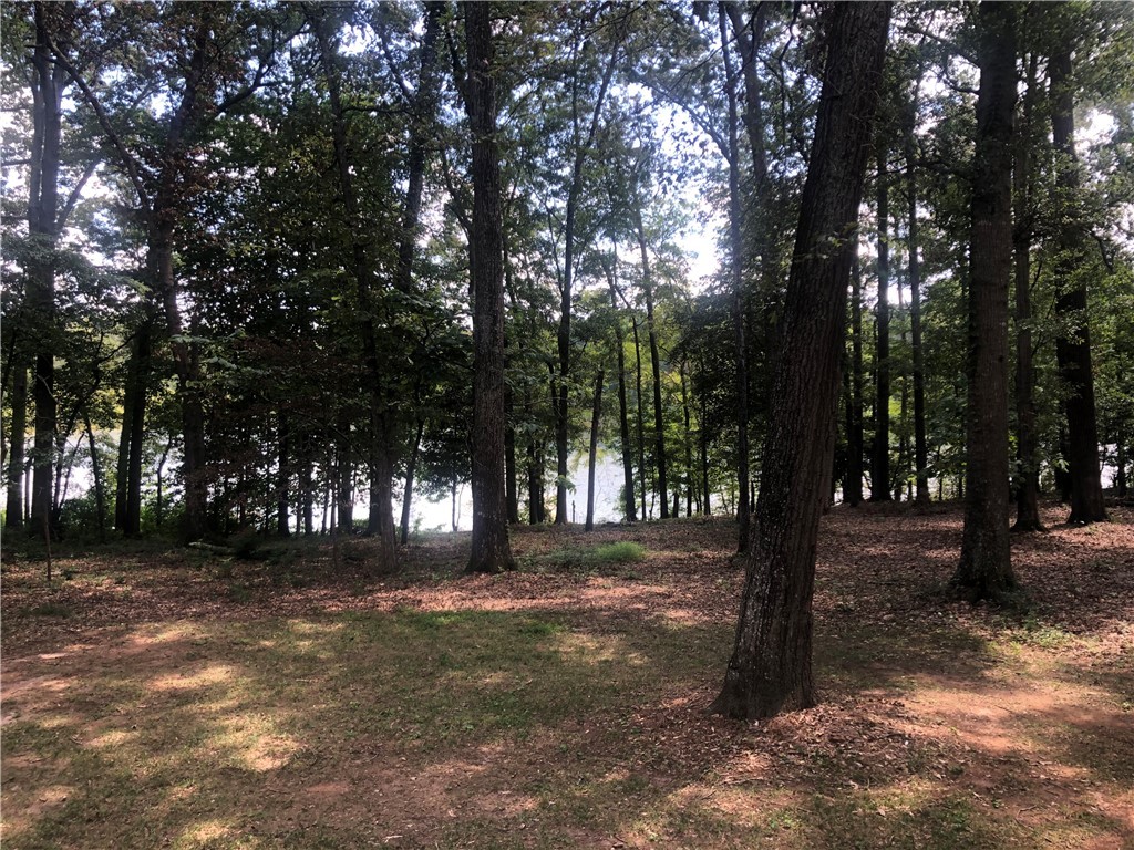 1705 McClellan Road Anderson, SC 29621 - Photo 33 of 45