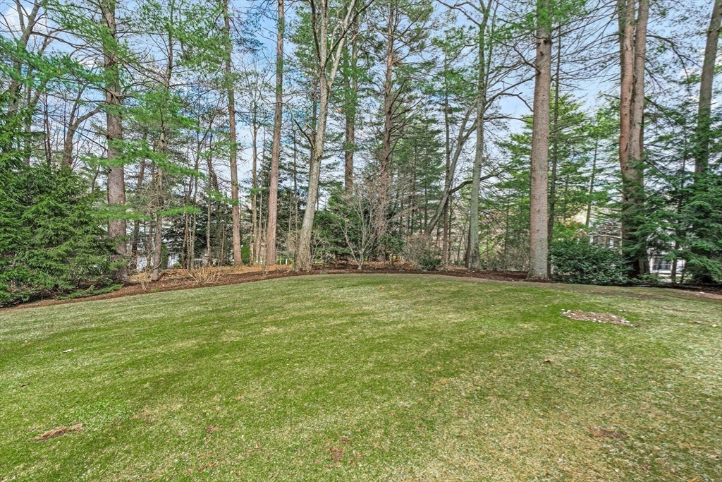 22 Chadwick Road Weston, MA 02493 - Photo 30 of 33 a view of a field with trees in the background