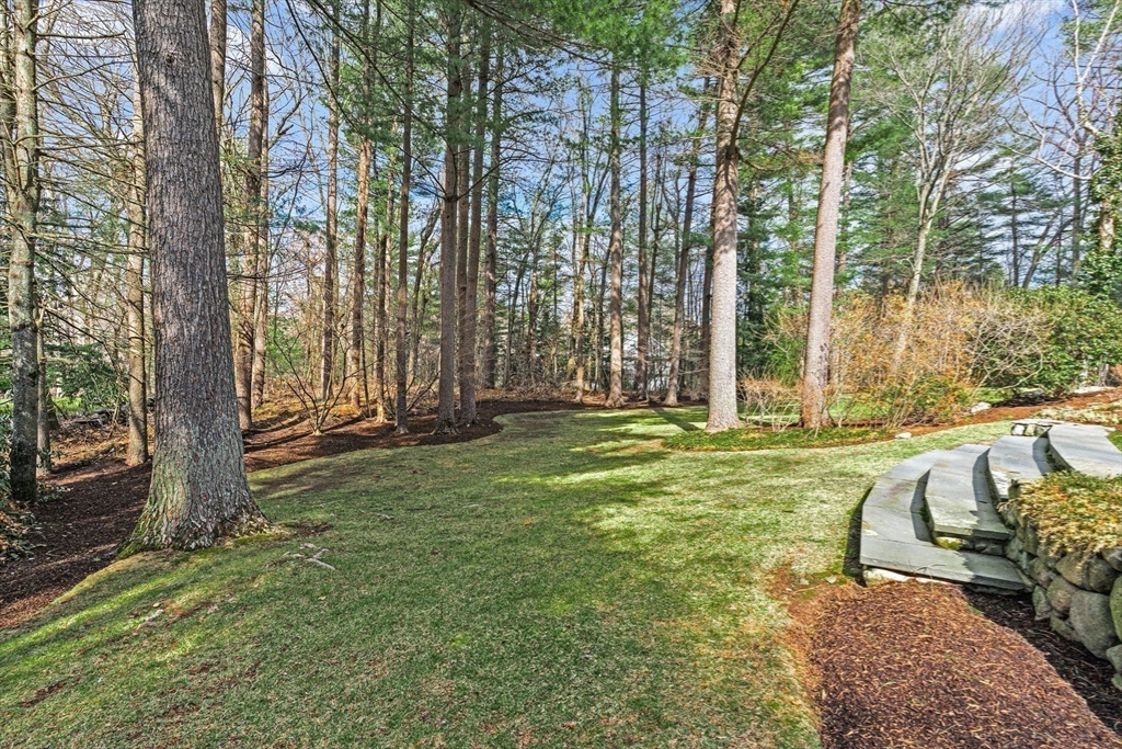 22 Chadwick Road Weston, MA 02493 - Photo 31 of 33 a view of backyard with tub and trees