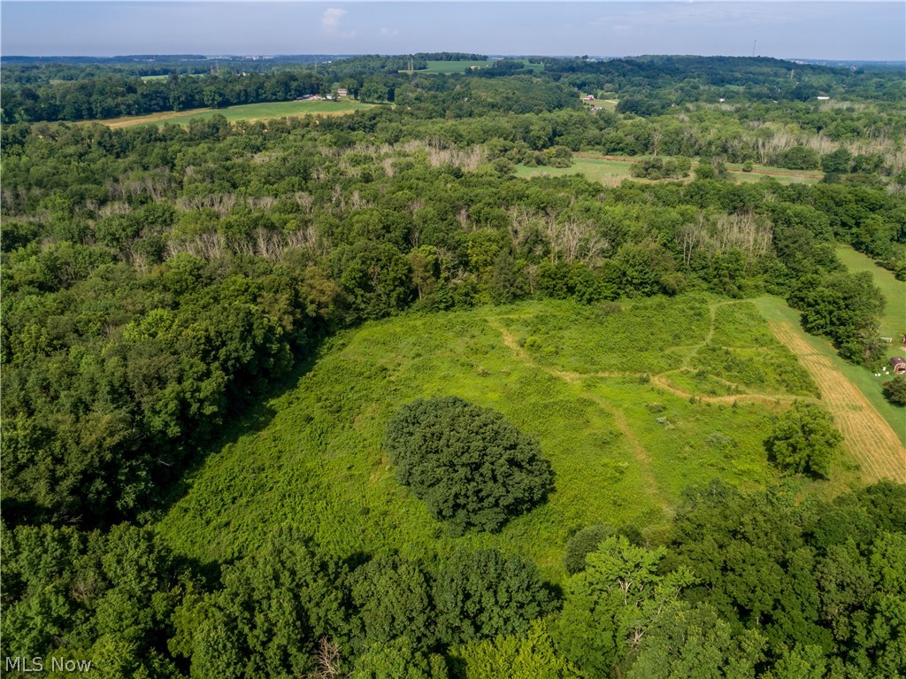 8356 South Cleveland Massillon Road Clinton, OH 44216 - Photo 6 of 30 SHOT COURTESY OF BUCKEYE DRONE