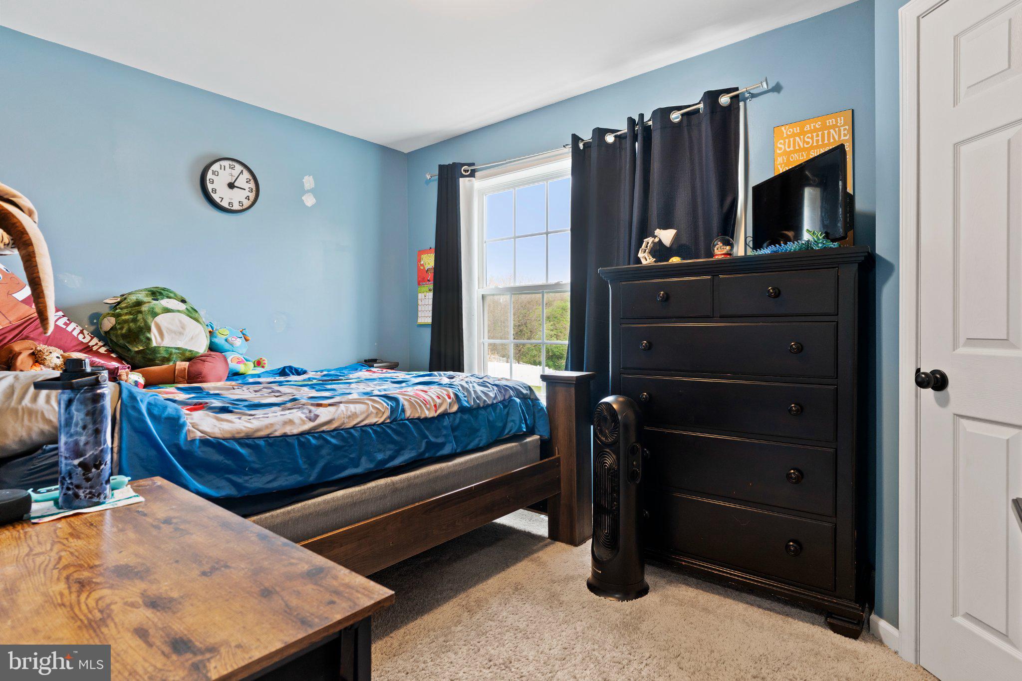 245 Spring Meadows Road Manchester, PA 17345 - Photo 17 of 33 Cozy blue-hued bedroom retreat.