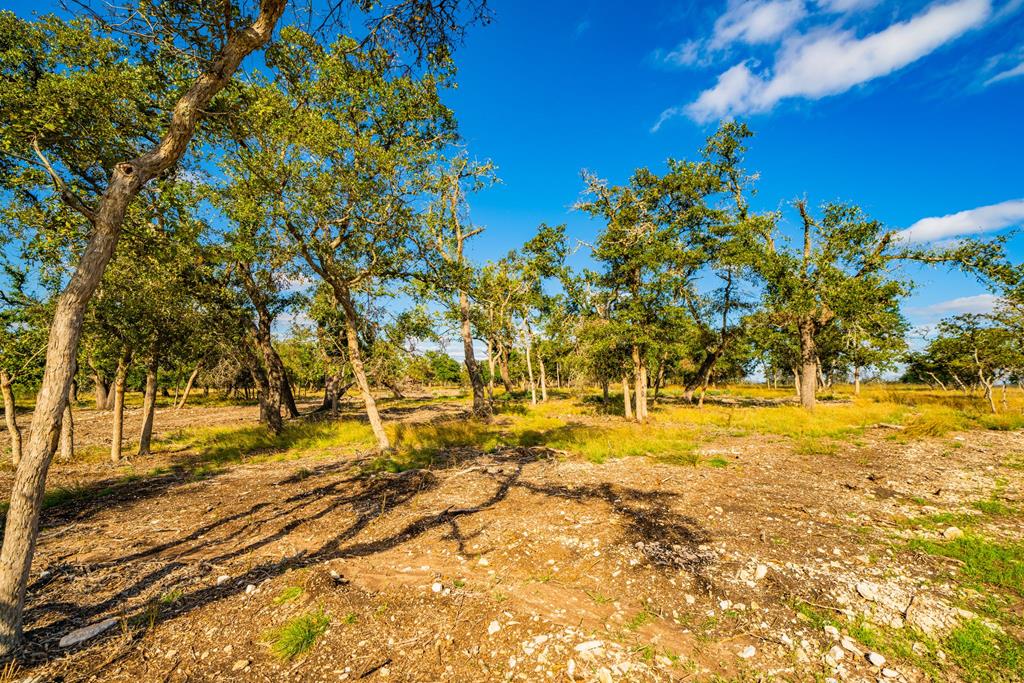Lot 34 Reservation Road, Unit 34 Harper, TX 78631 - Photo 1 of 5 Main View