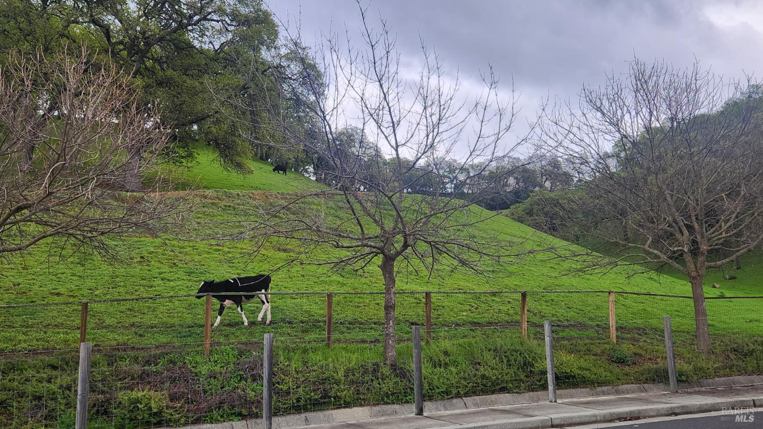 3183 Olympic Road Fairfield, CA 94534 - Photo 27 of 69 Rancho Solano is known for its open space with rolling hills and roaming cows
