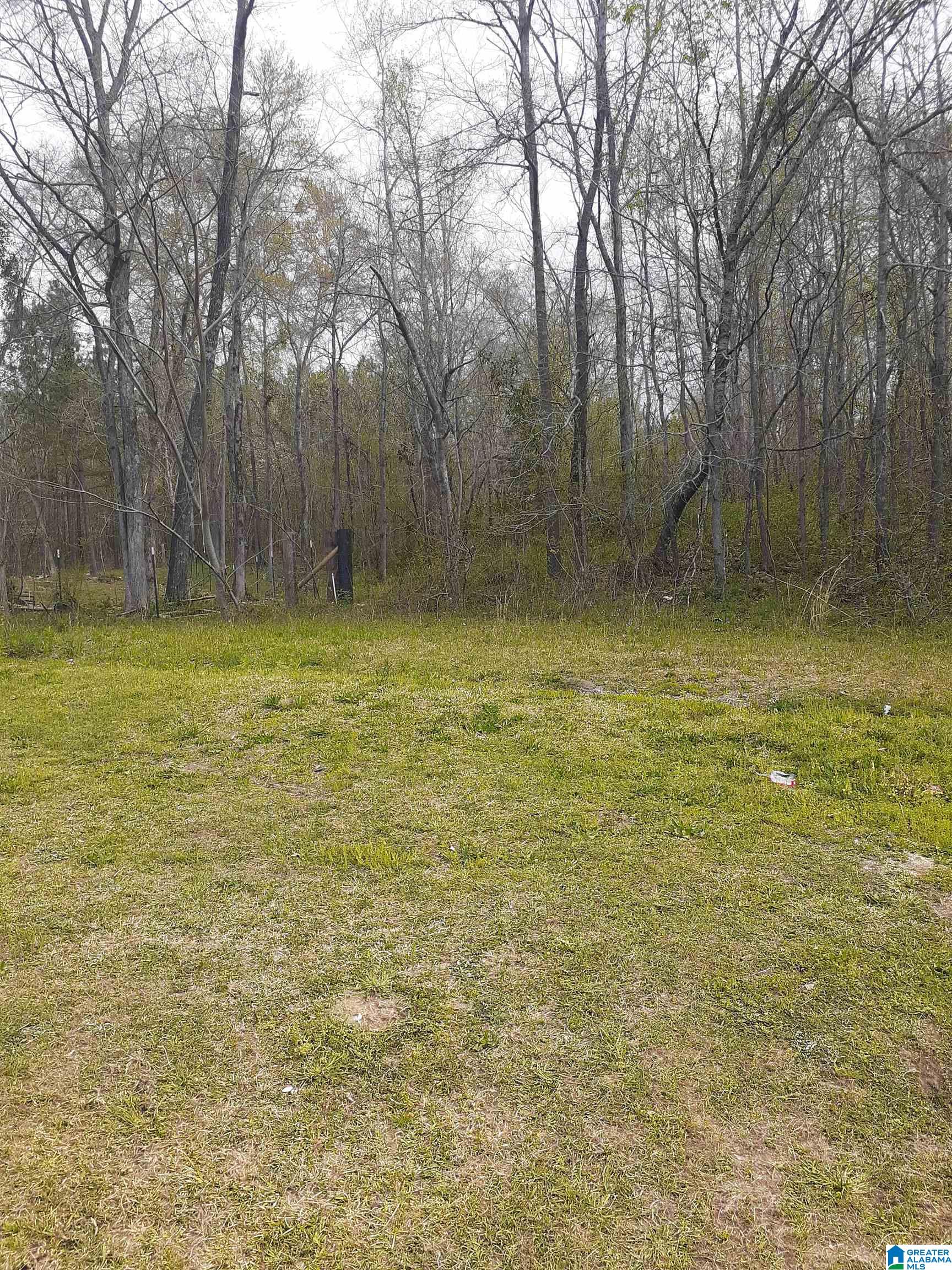 8975 Greensport Road Ashville, AL 35953 - Photo 8 of 9