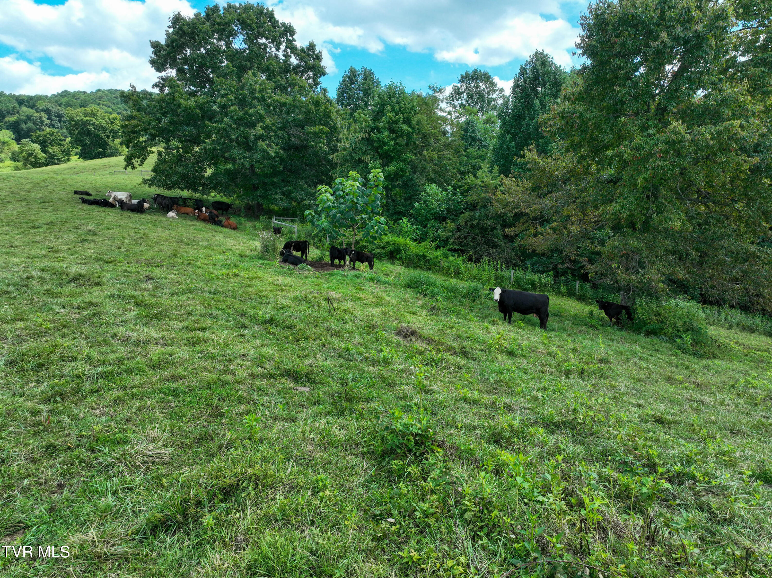 19429 Haskell Station Road Bristol, VA 24202 - Photo 35 of 46 19429 Haskell Station Rd Drone WELDON-35
