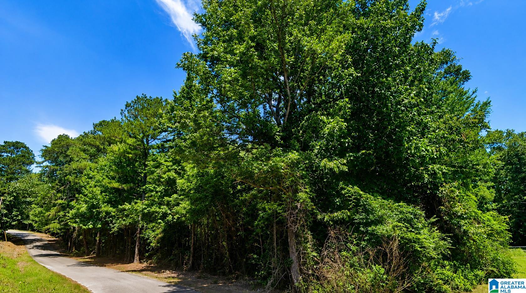 Sheltered Cove Road Jasper, AL 35504 - Photo 1 of 2