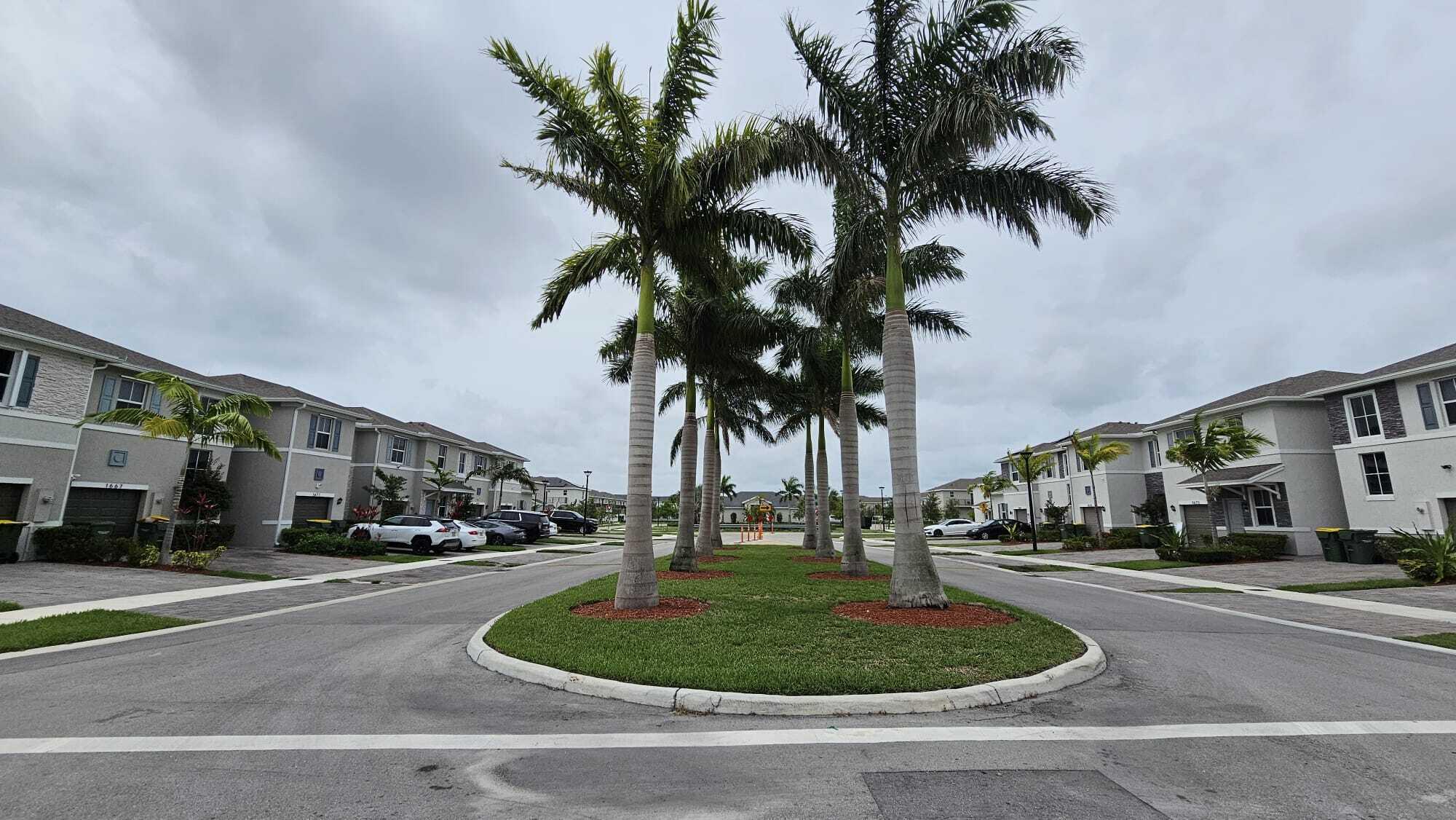 1677 Southeast 8th Street Homestead, FL 33034 - Photo 40 of 52 a building with palm trees in front of it