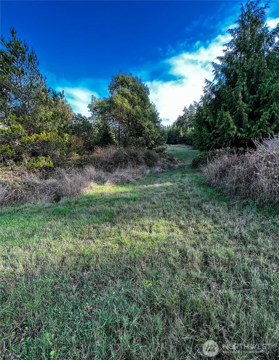 4 Rum Runner Road Lopez Island, WA 98261 - Photo 7 of 12 Gallery Image 7