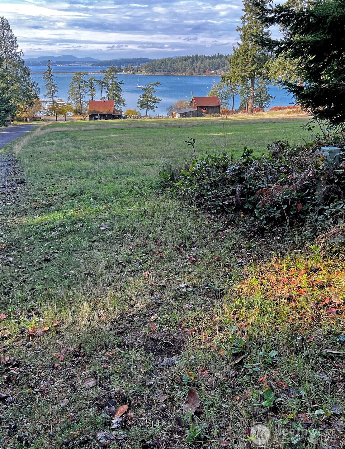 4 Rum Runner Road Lopez Island, WA 98261 - Photo 9 of 12 Gallery Image 9