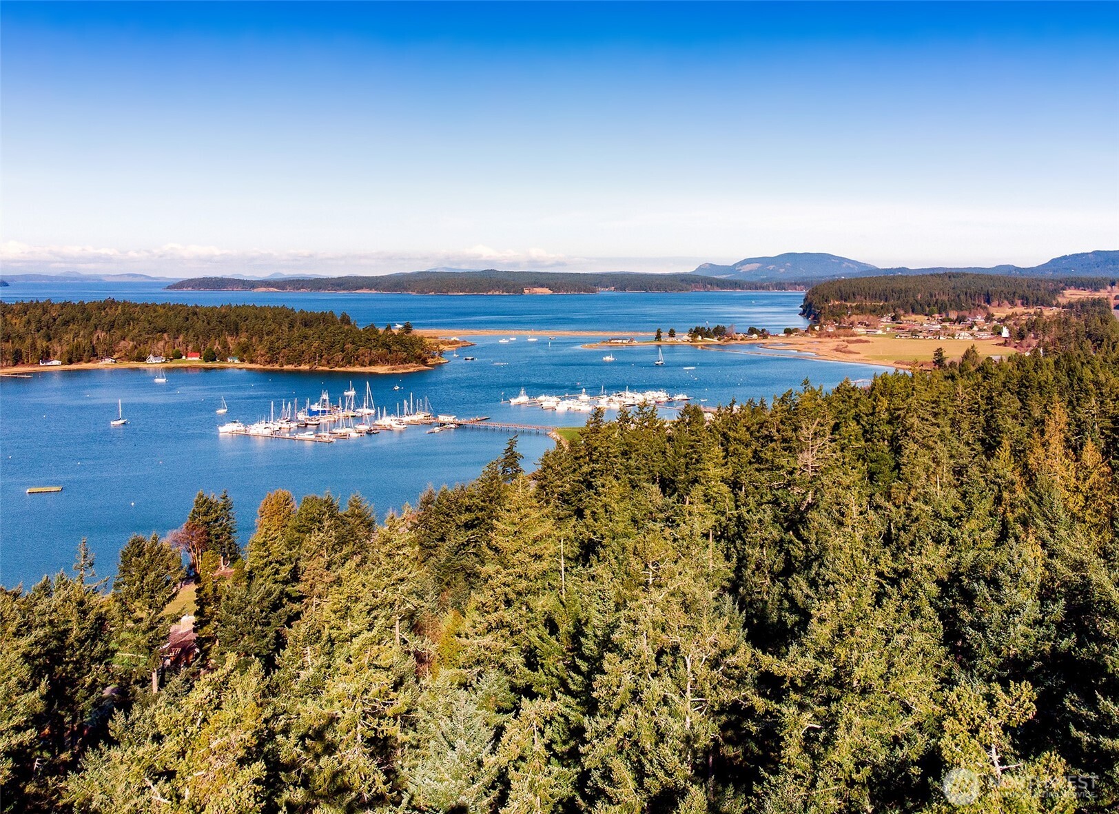 4 Rum Runner Road Lopez Island, WA 98261 - Photo 10 of 12 Gallery Image 10