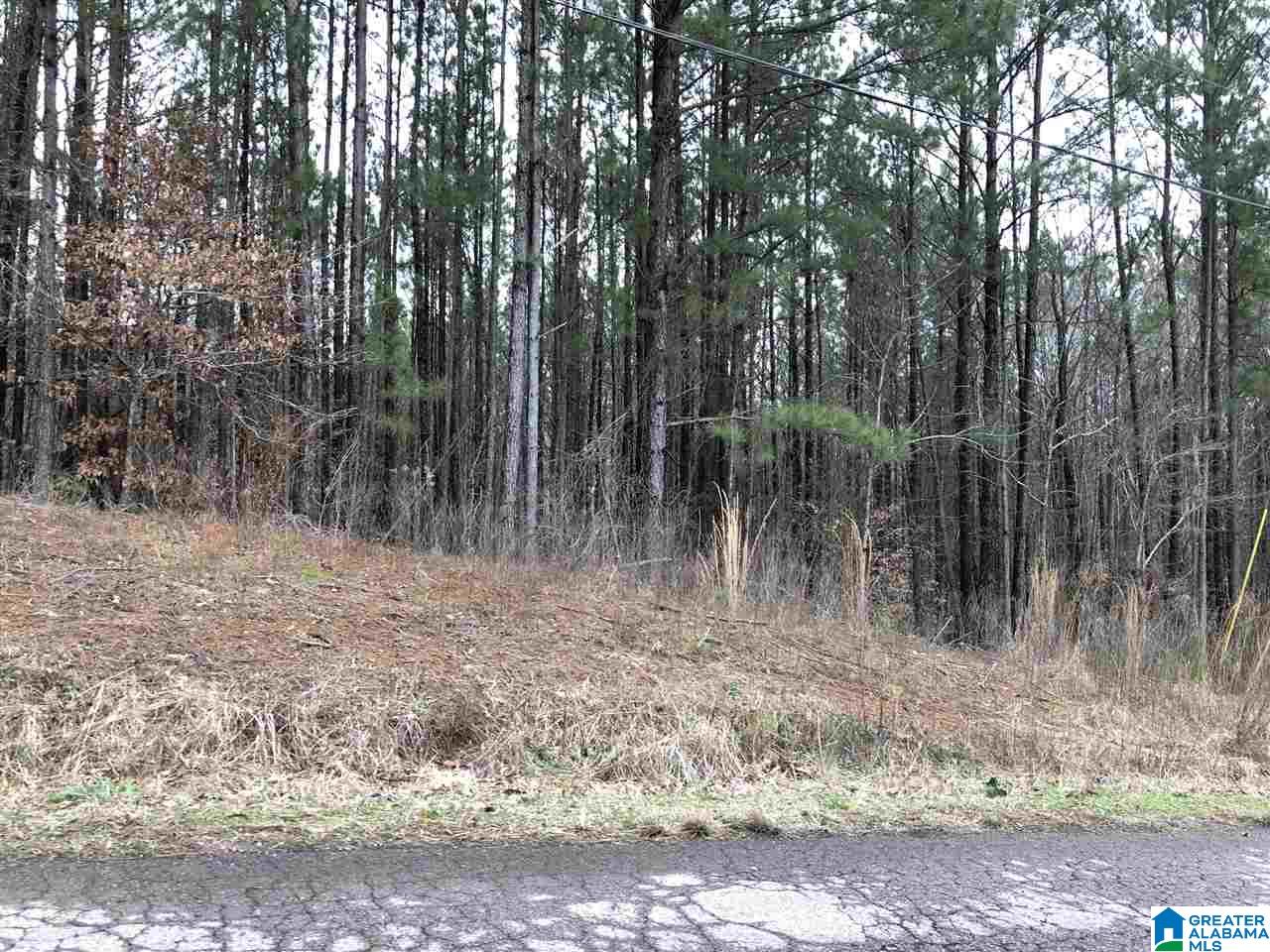 Lot 7 Sellers Road, Unit 7 Dora, AL 35062 - Photo 3 of 3