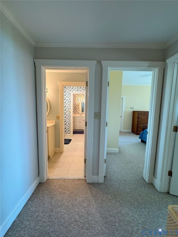 1321 Mt Prospect Road Laneview, VA 22504 - Photo 42 of 49