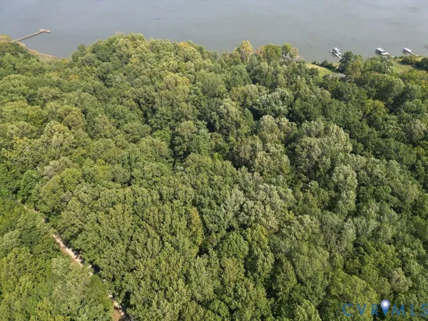 a view of a large yard with plants and large trees