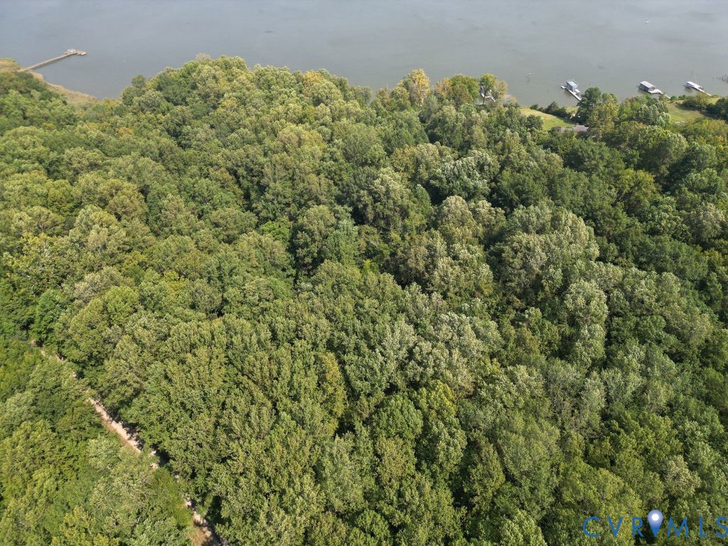 1321 Mt Prospect Road Laneview, VA 22504 - Photo 8 of 49 a view of a large yard with plants and large trees