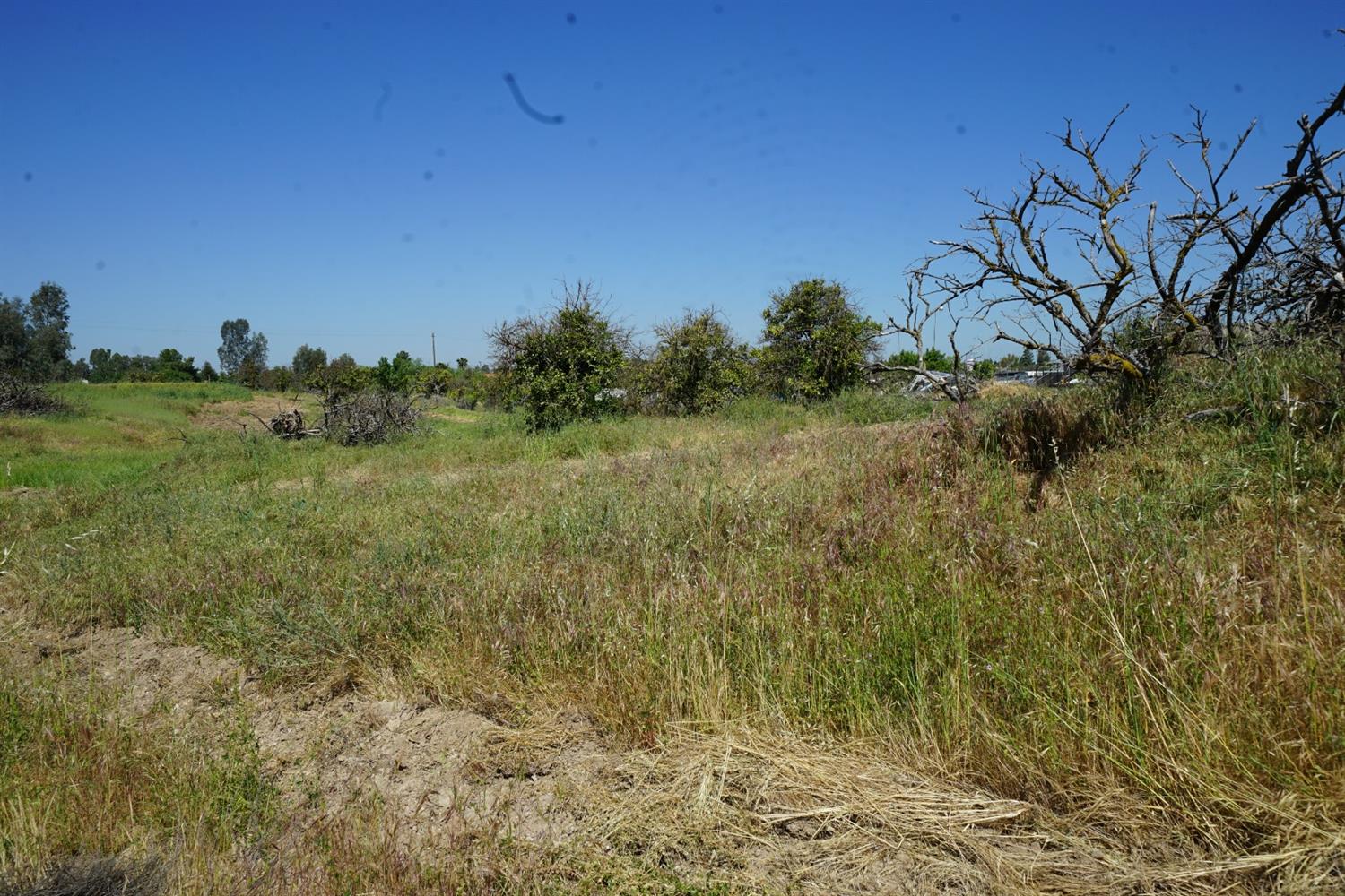 0 Paula Road Madera, CA 93636 - Photo 3 of 7 Gallery Image 3