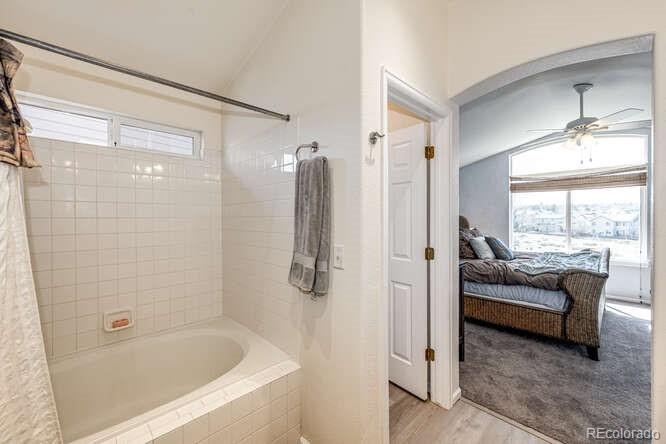 10143 Astorbrook Lane Highlands Ranch, CO 80126 - Photo 19 of 39 a bathroom with a tub shower and sink