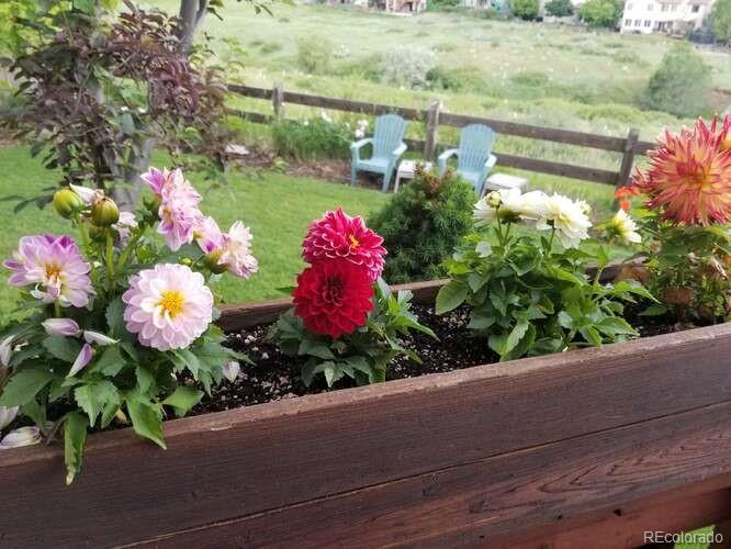 10143 Astorbrook Lane Highlands Ranch, CO 80126 - Photo 37 of 39 a view of a flower arrangement in backyard